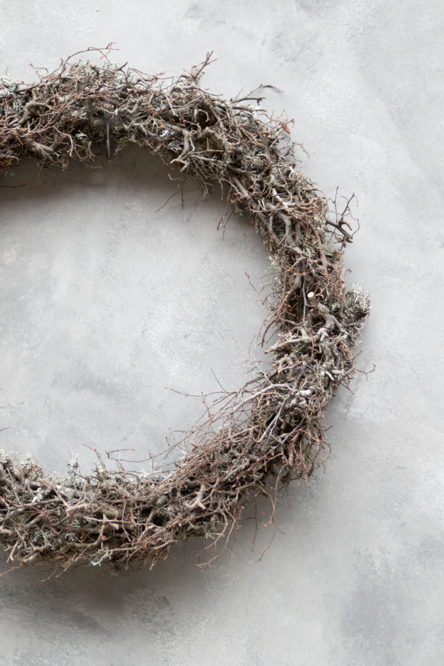 Bonsai grey moss wreath thin