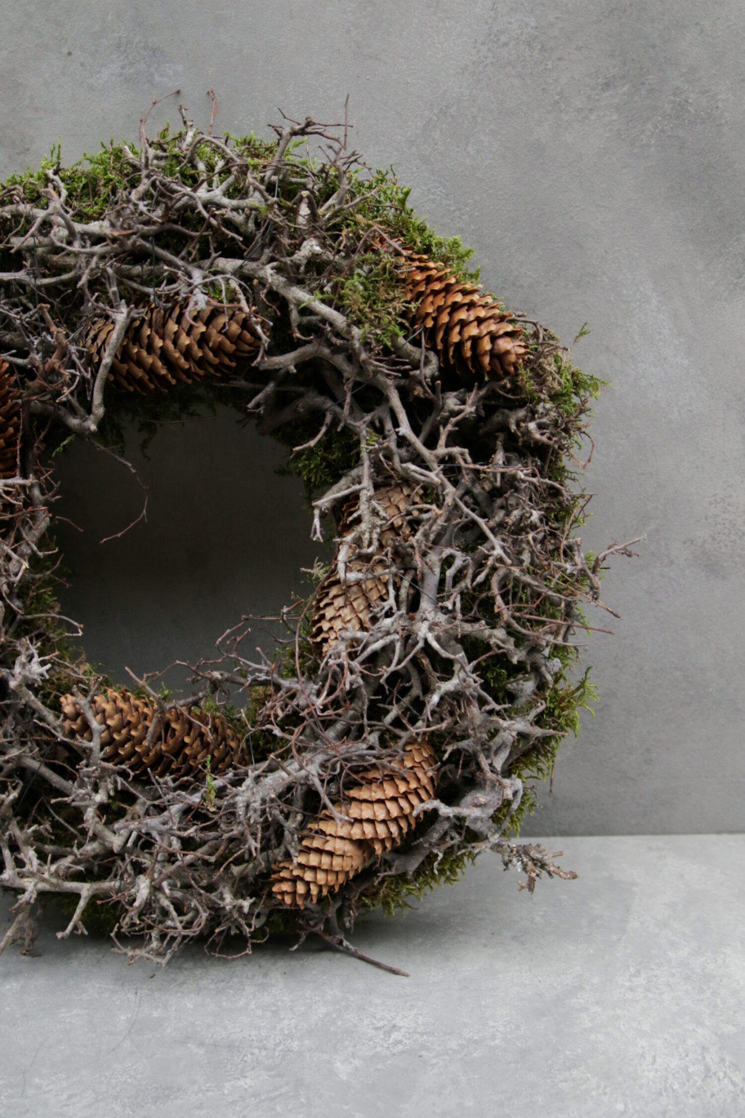 Bonsai moss wreath with cone