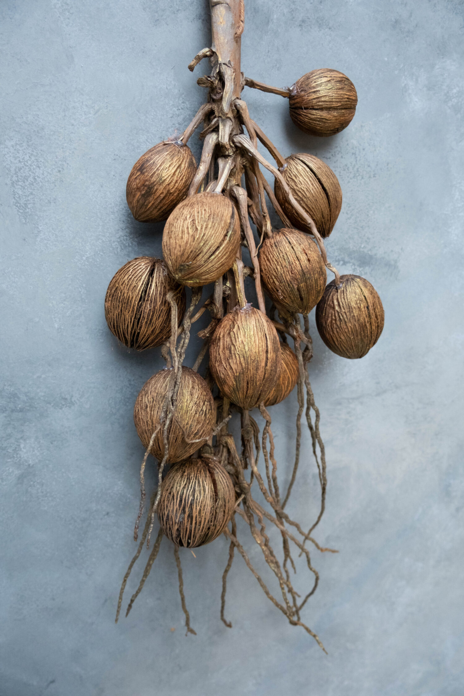 Coco finger branch + mintolla