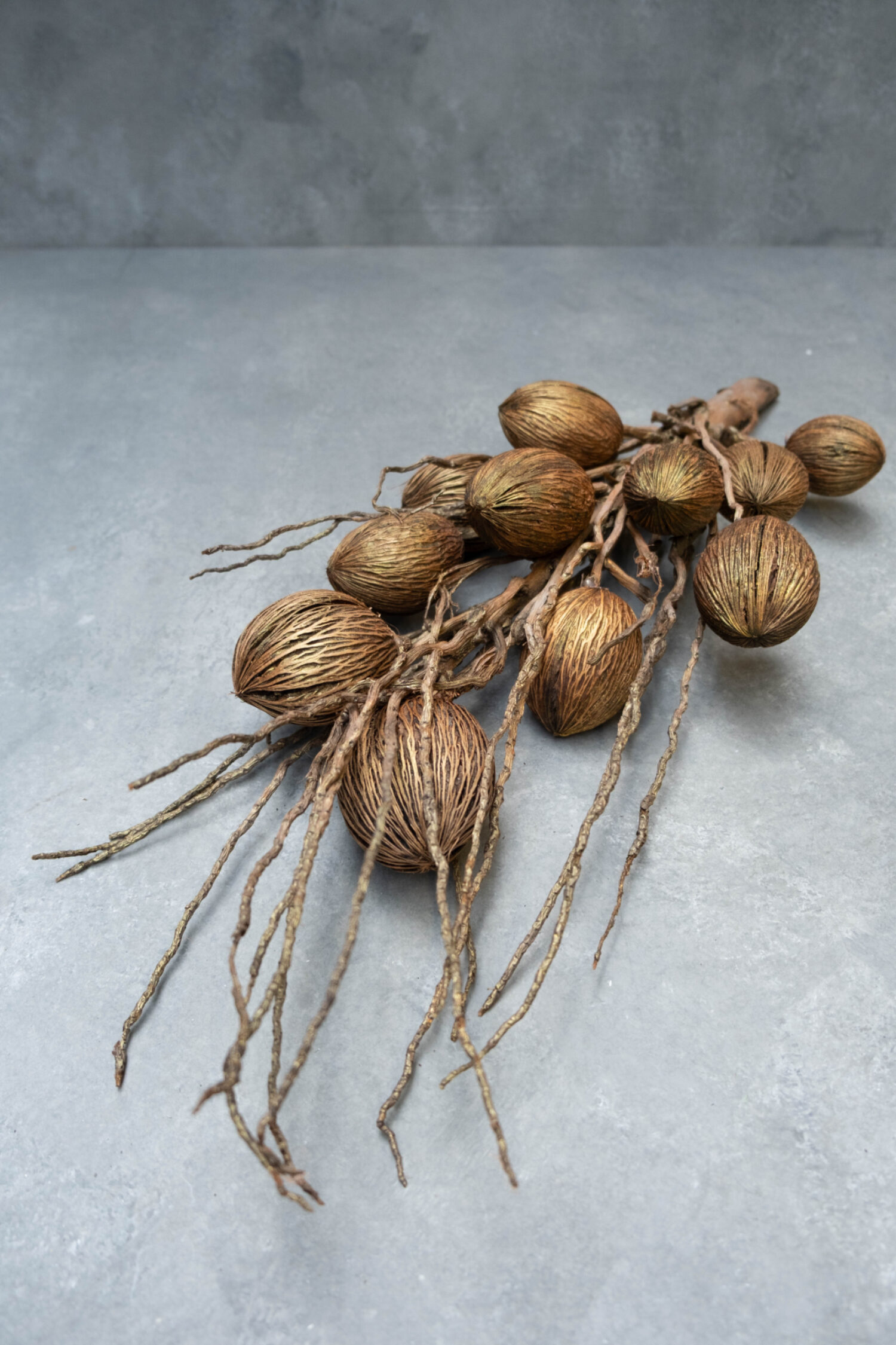 Coco finger branch + mintolla