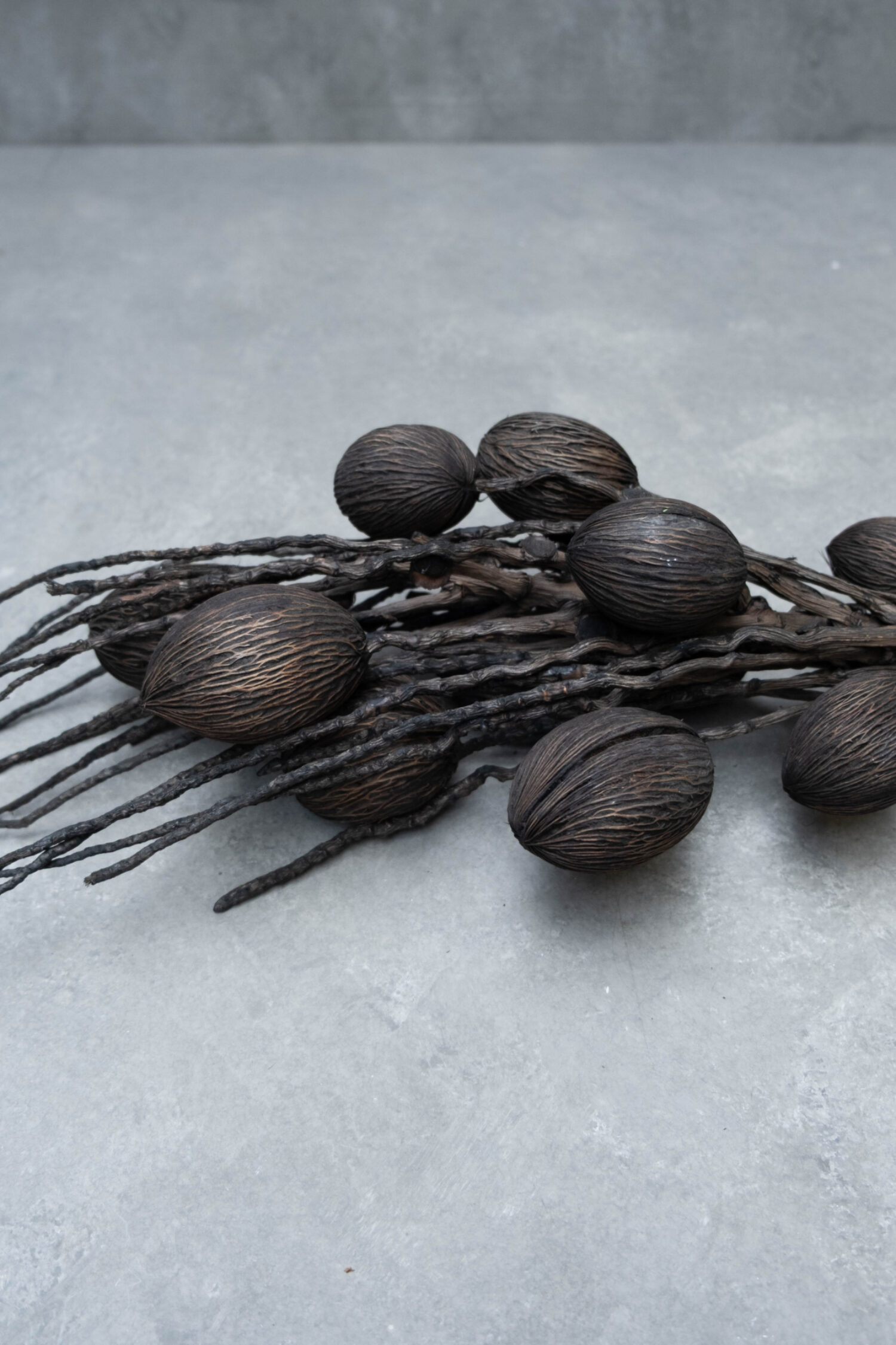 Coco finger branch + mintolla