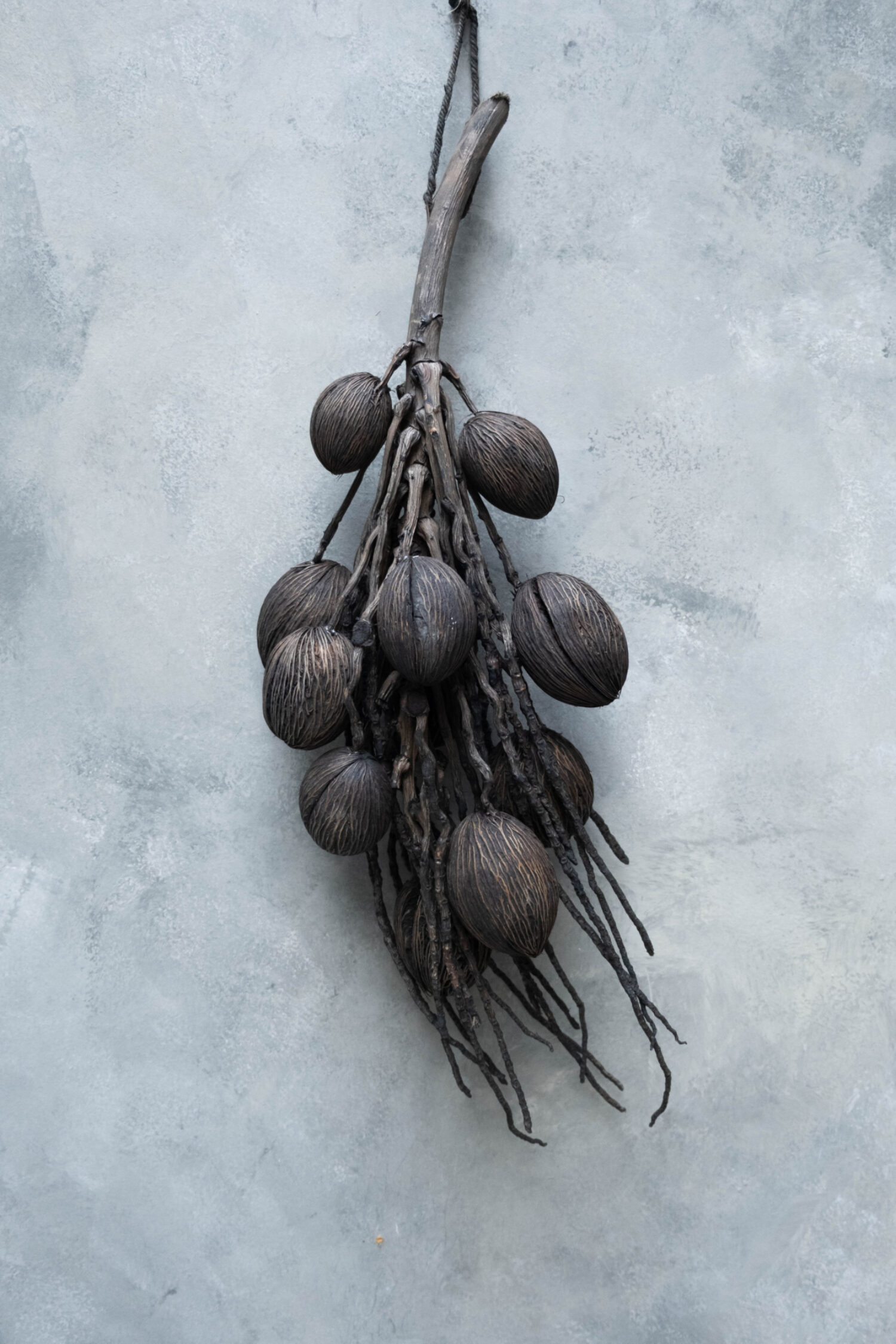 Coco finger branch + mintolla