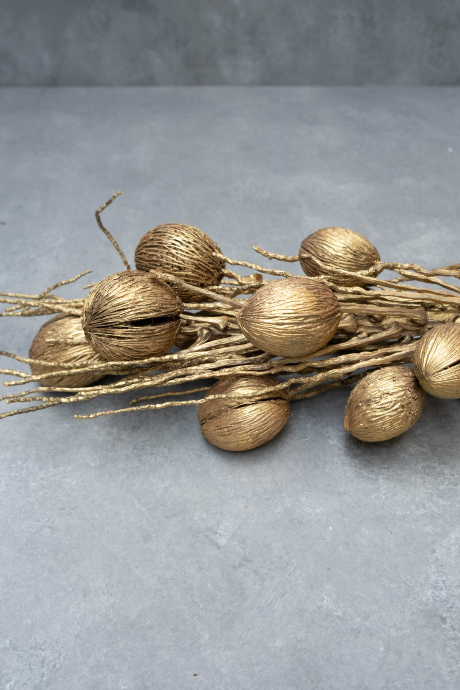 Coco finger branch + mintolla