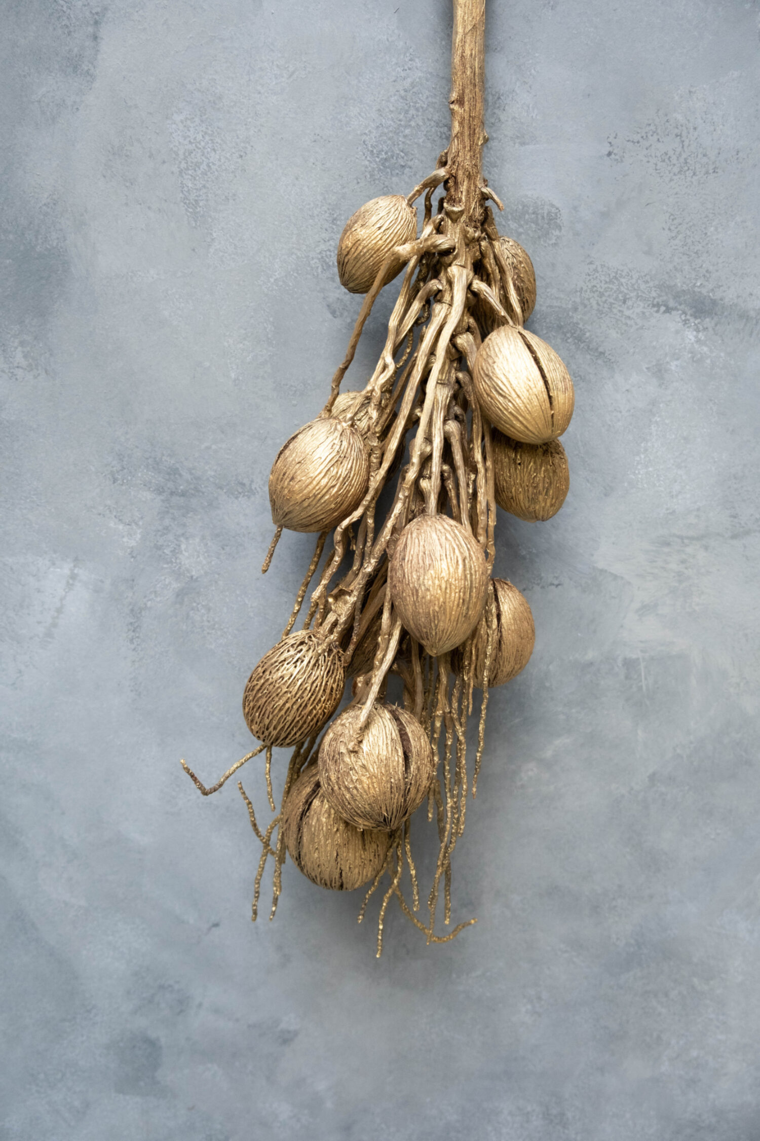 Coco finger branch + mintolla