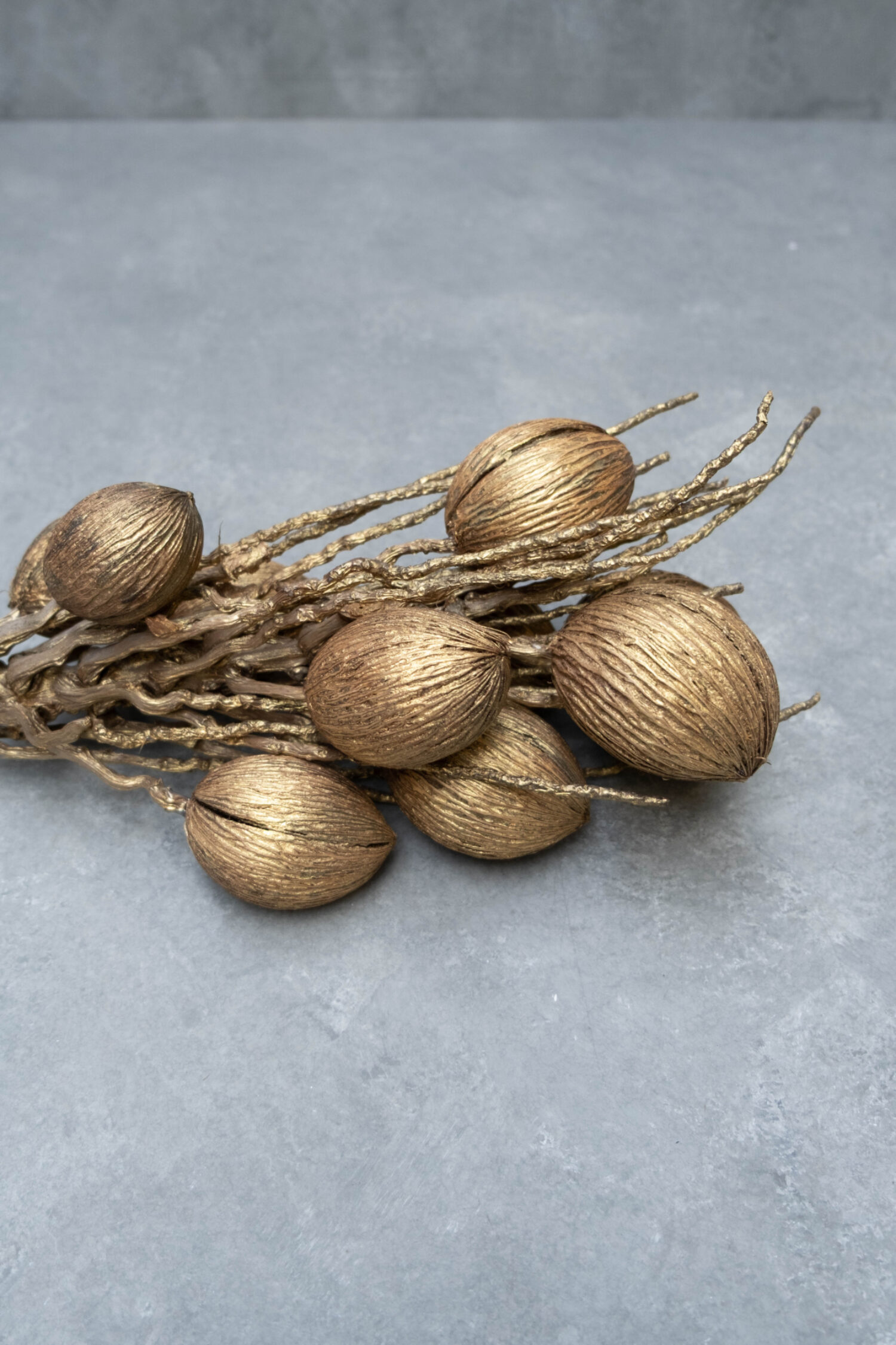 Coco finger branch + mintolla