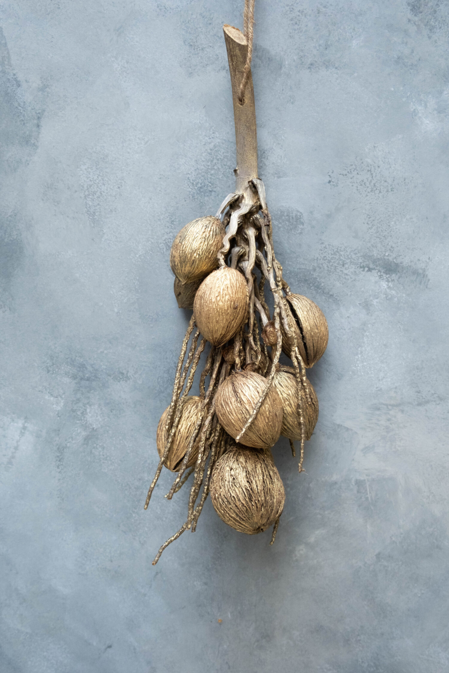 Coco finger branch + mintolla