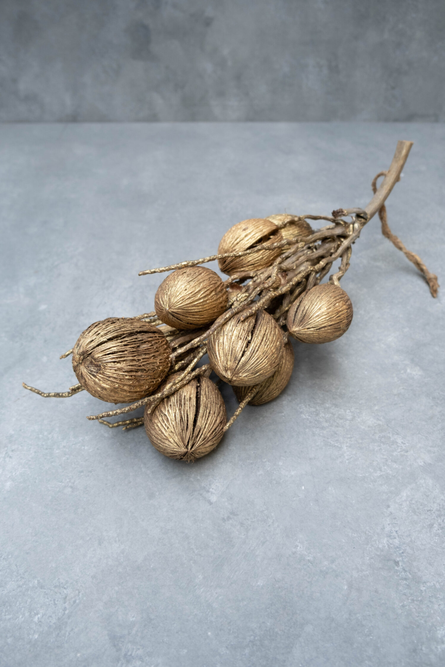 Coco finger branch + mintolla