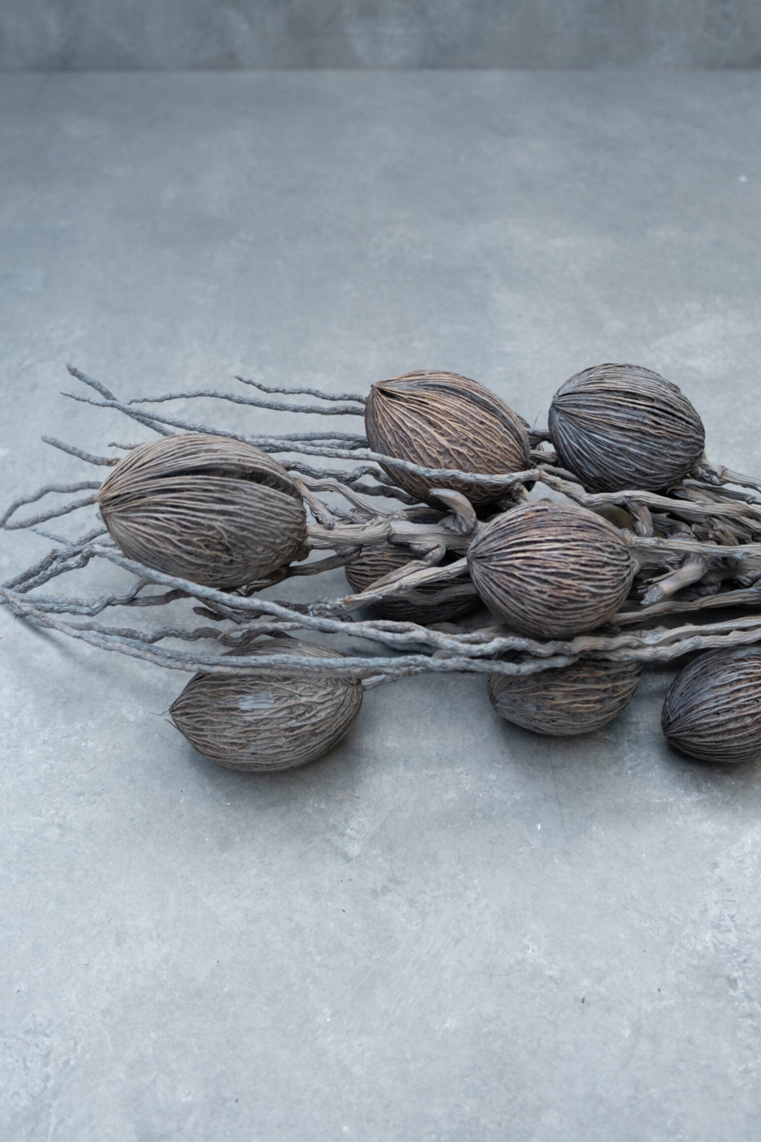 Coco finger branch + mintolla