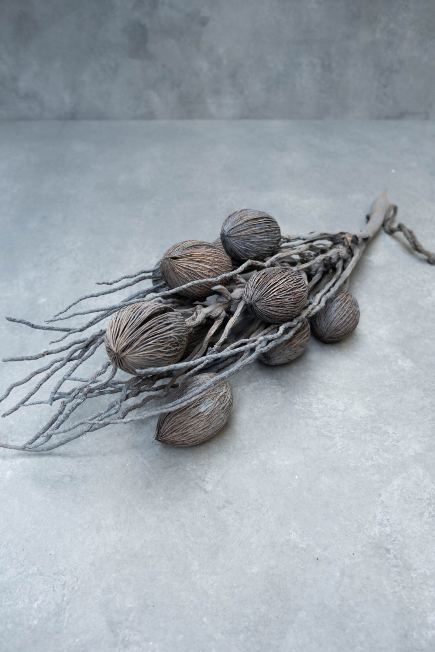 Coco finger branch + mintolla