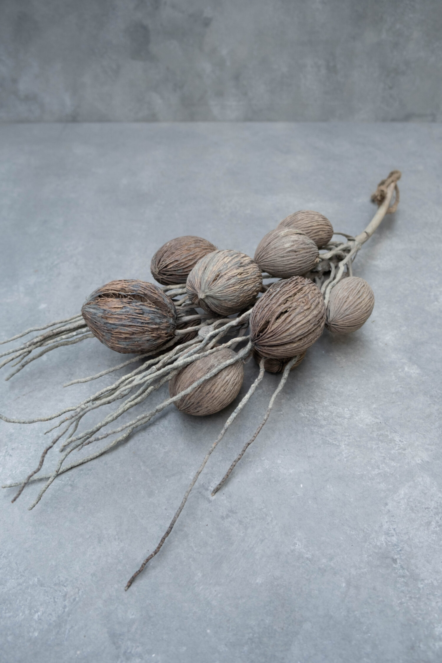 Coco finger branch + mintolla