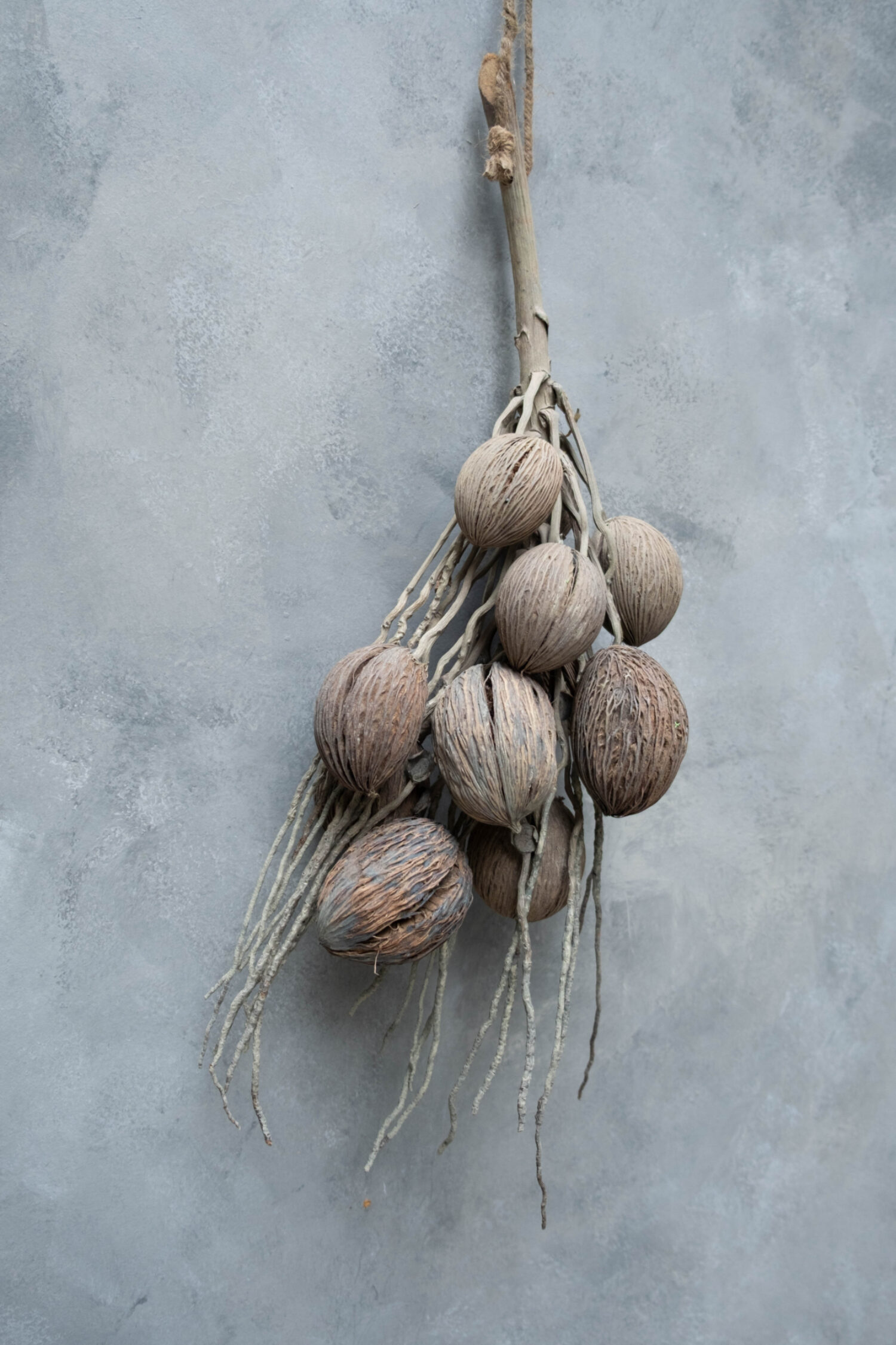 Coco finger branch + mintolla