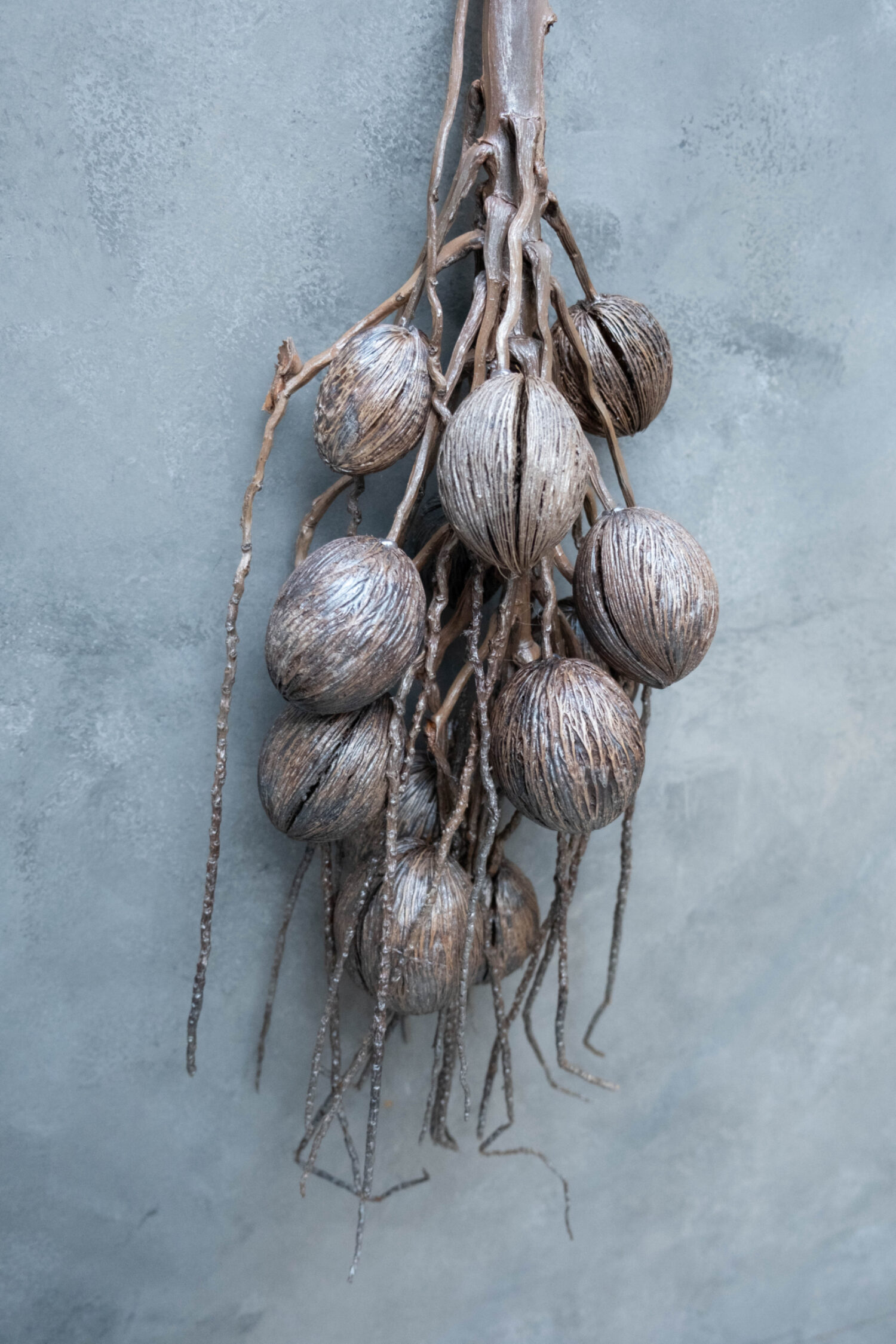 Coco finger branch + mintolla