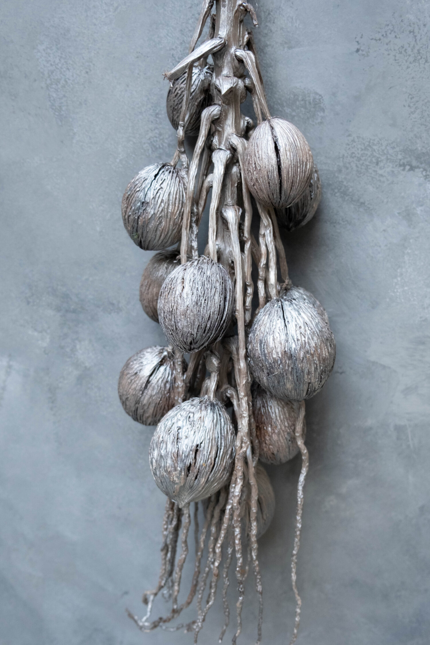 Coco finger branch + mintolla