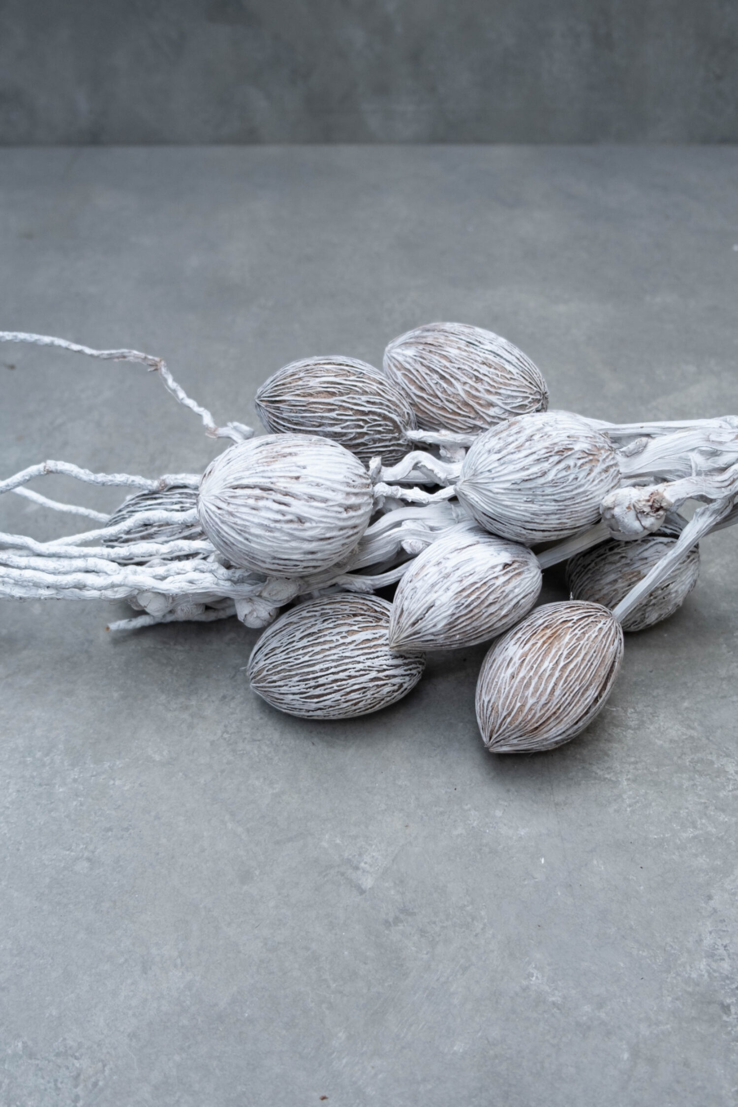 Coco finger branch + mintolla