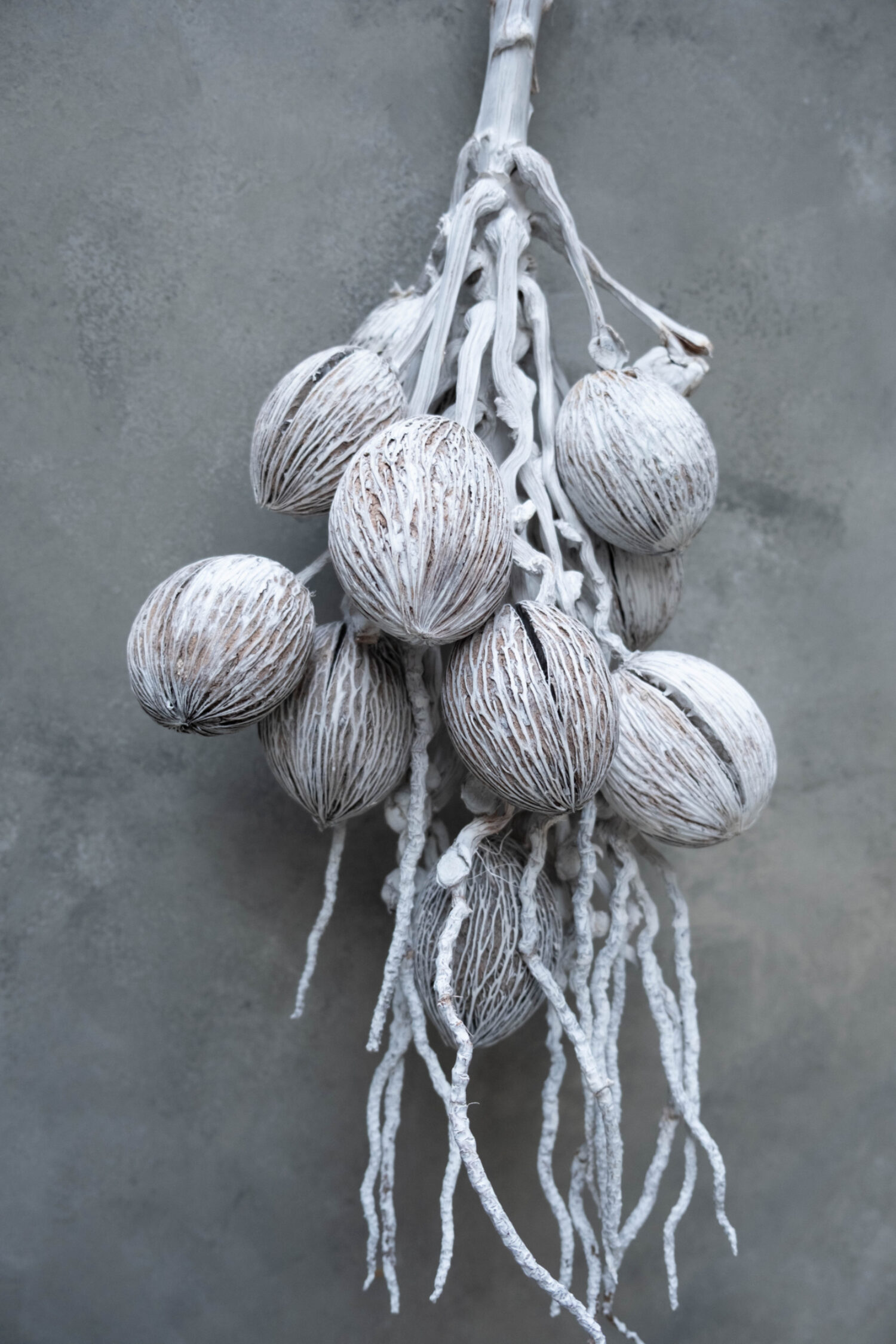 Coco finger branch + mintolla