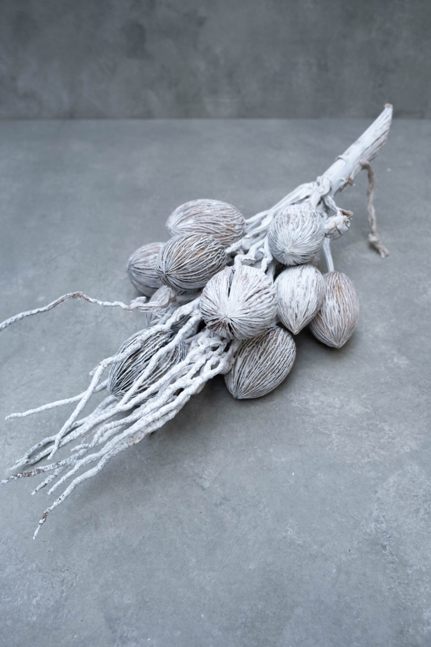 Coco finger branch + mintolla