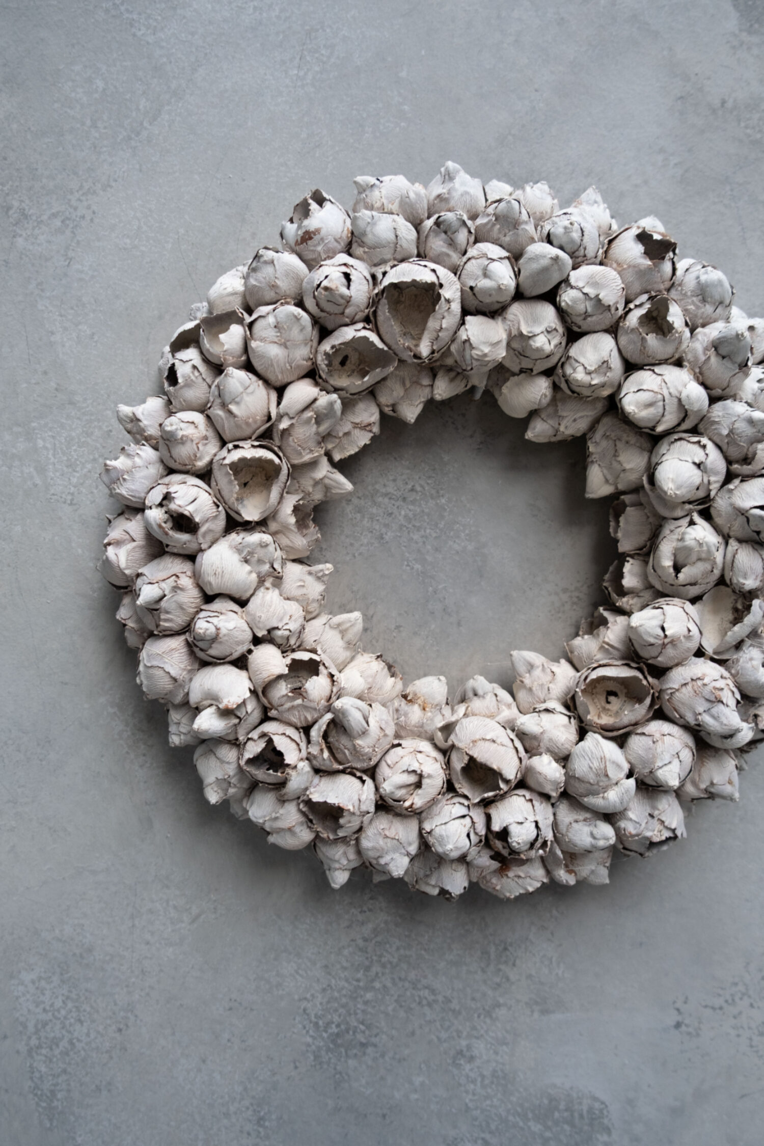 Coco fruit wreath