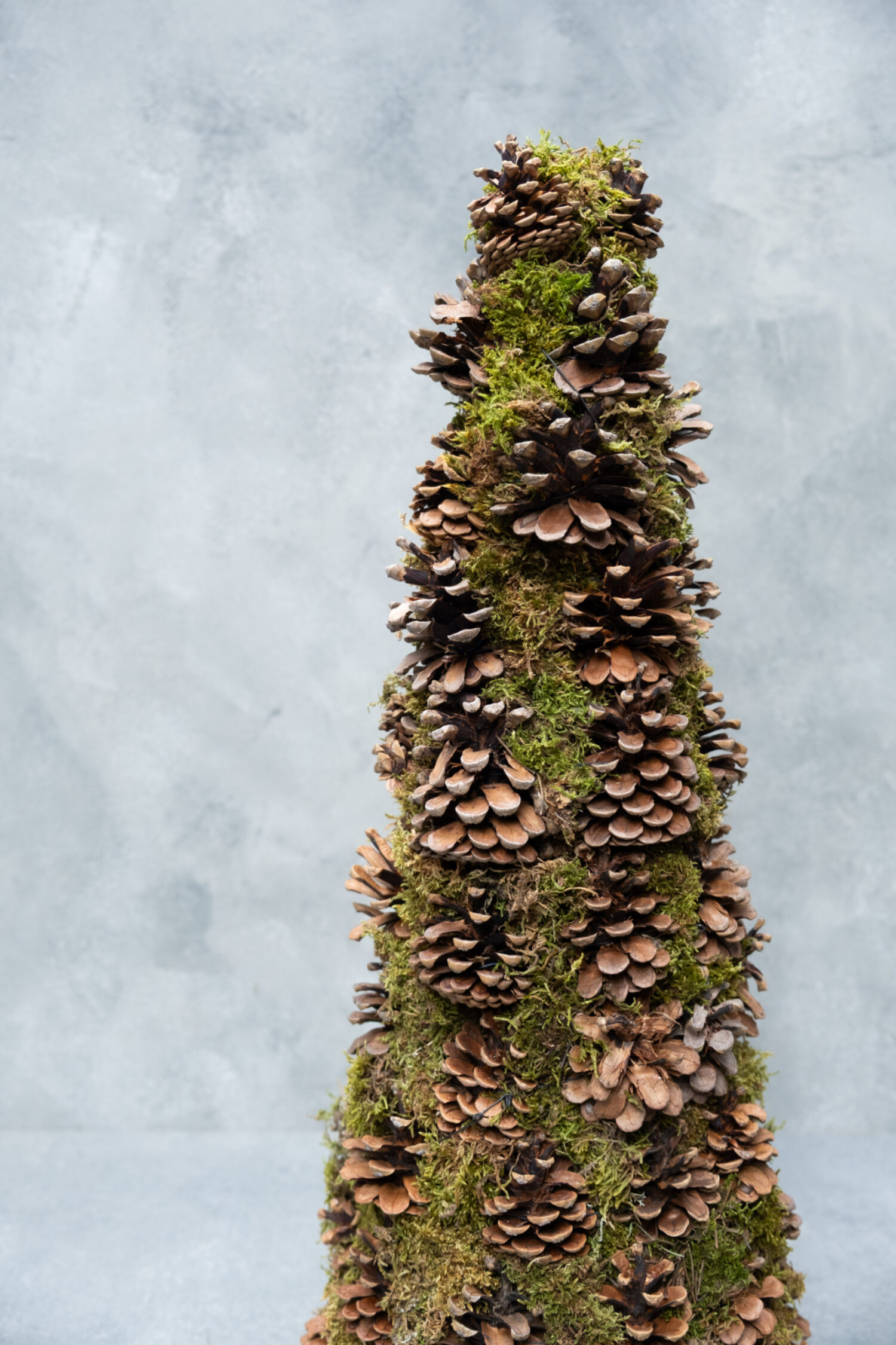 Cone tree moss + pinecones