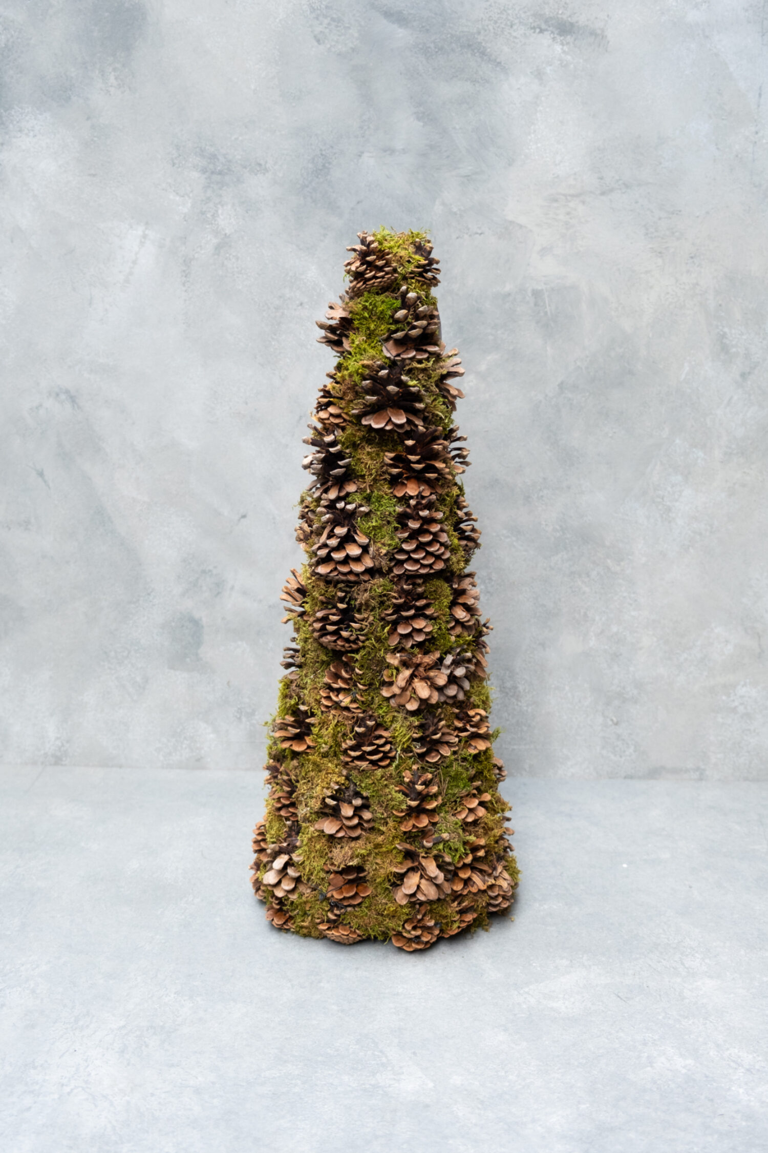Cone tree moss + pinecones