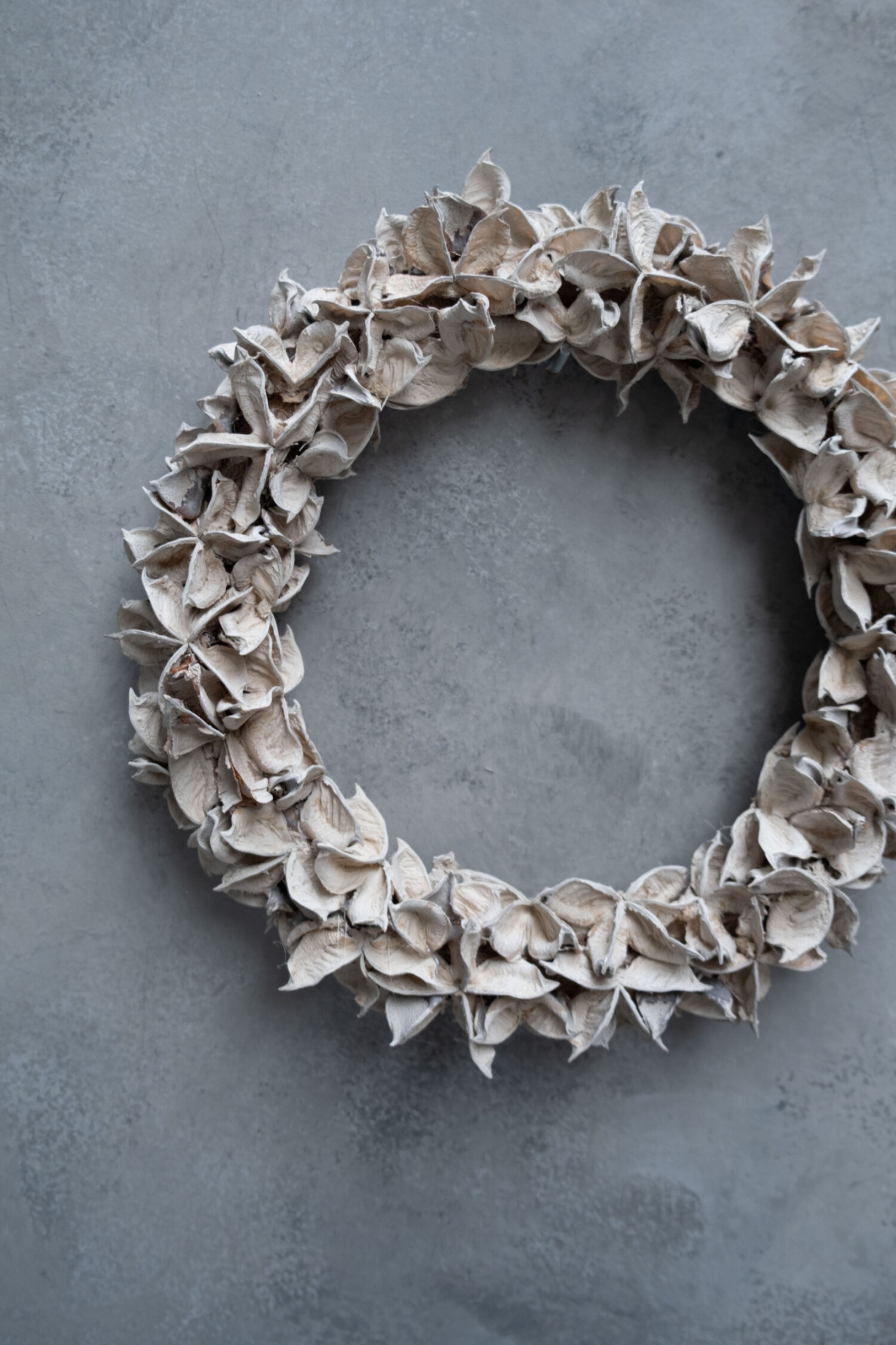 Cotton pod wreath thin