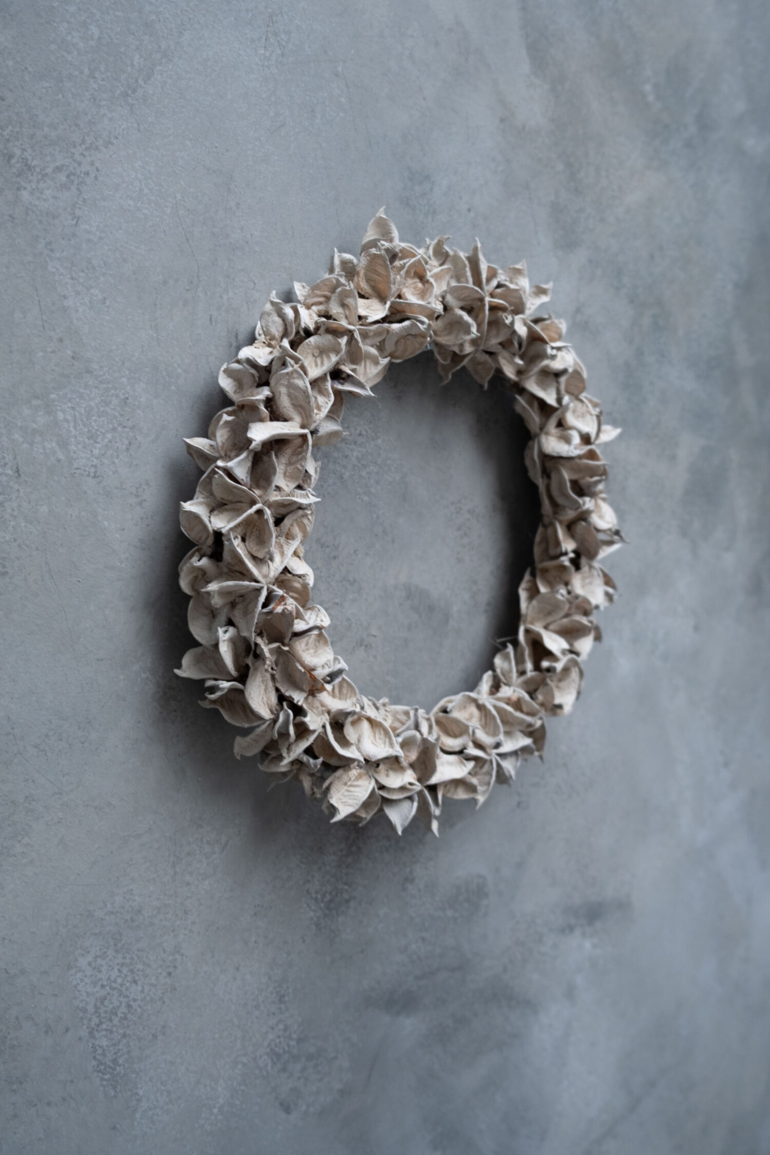 Cotton pod wreath thin