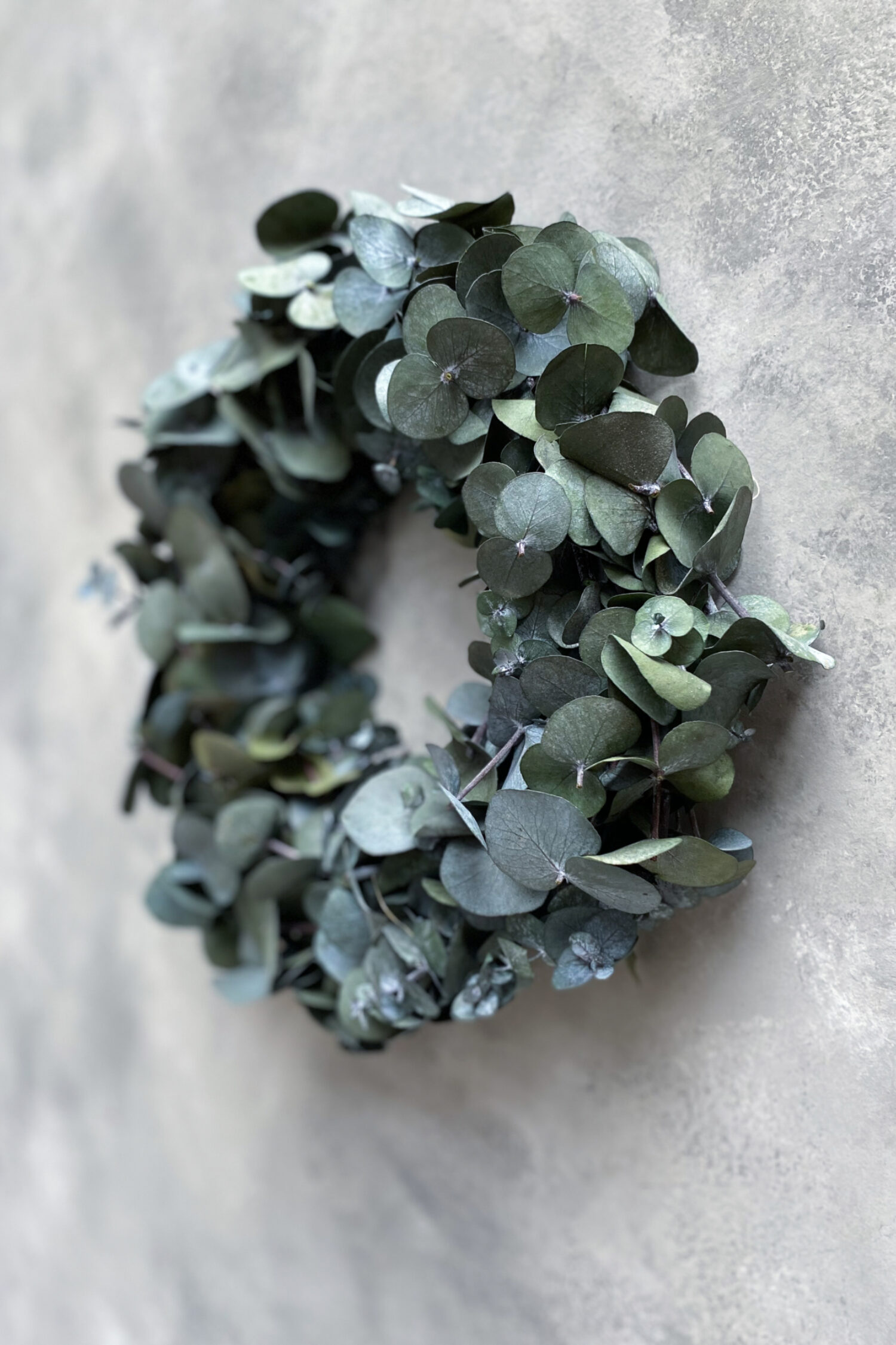 Eucalyptus wreath silverdollar preserved
