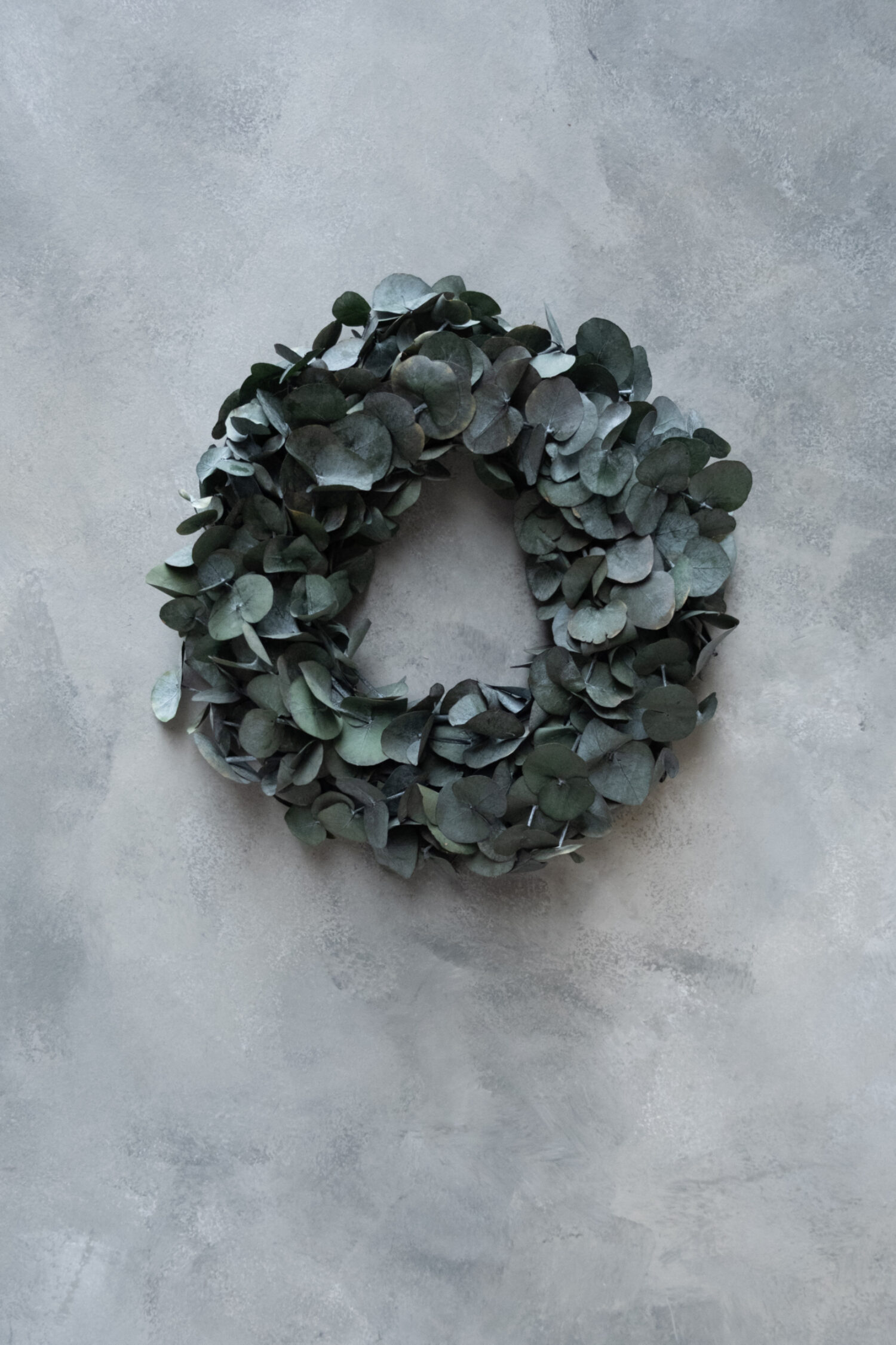 Eucalyptus wreath silverdollar preserved