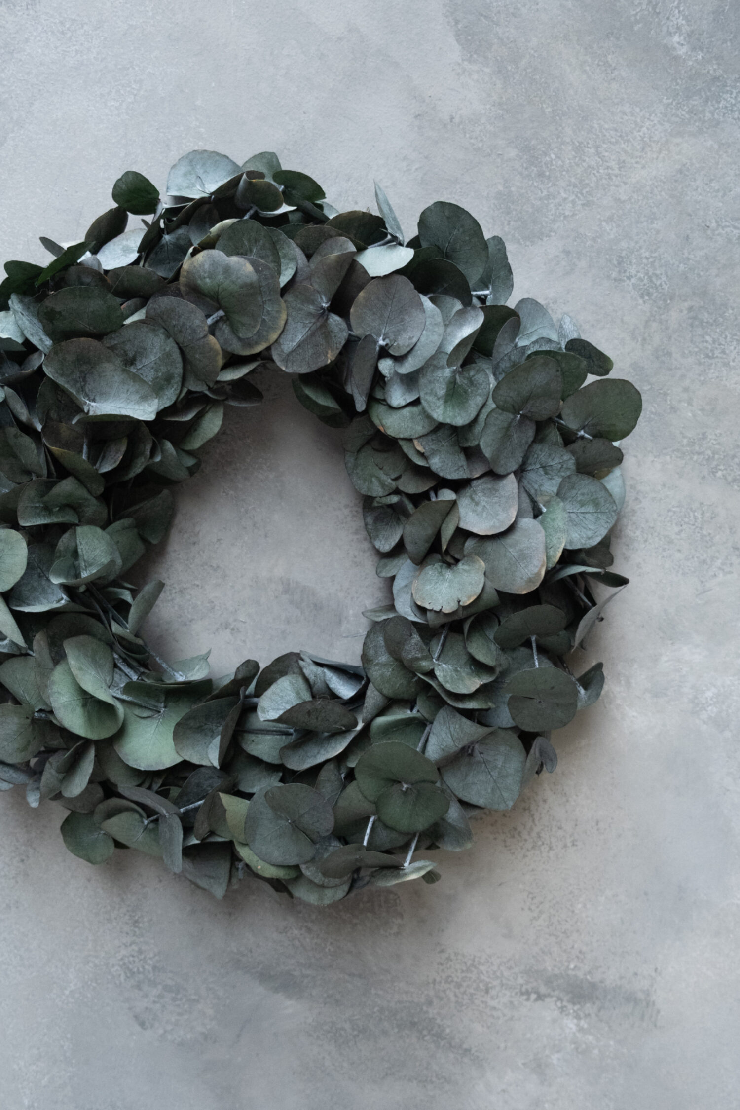 Eucalyptus wreath silverdollar preserved