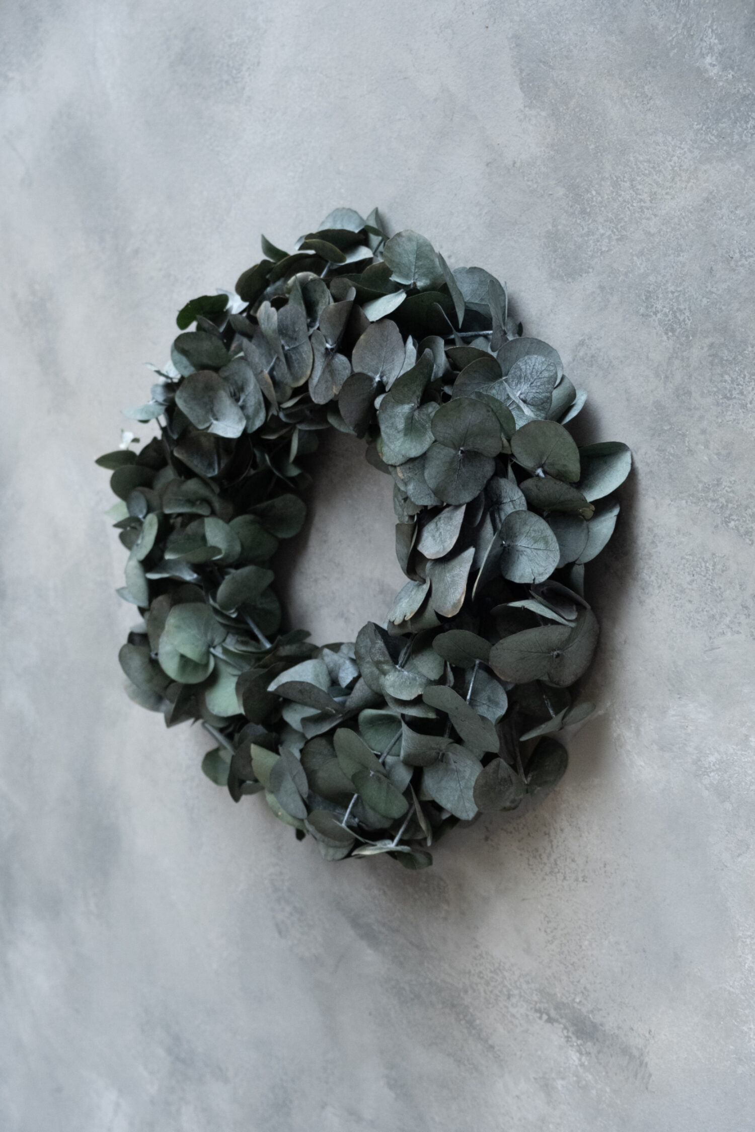 Eucalyptus wreath silverdollar preserved