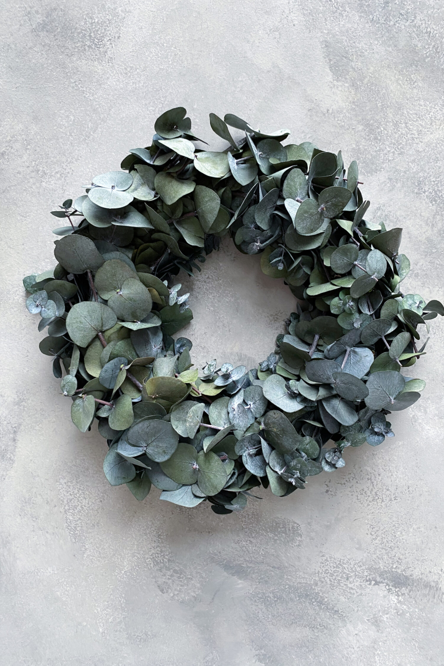 Eucalyptus wreath silverdollar preserved