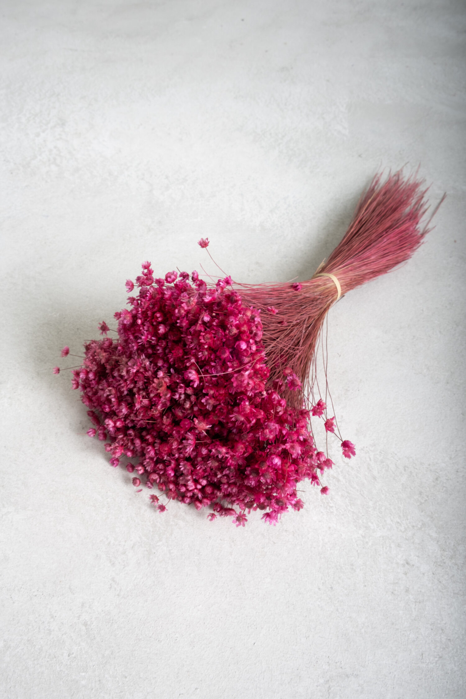 Glixia Marcela bunch