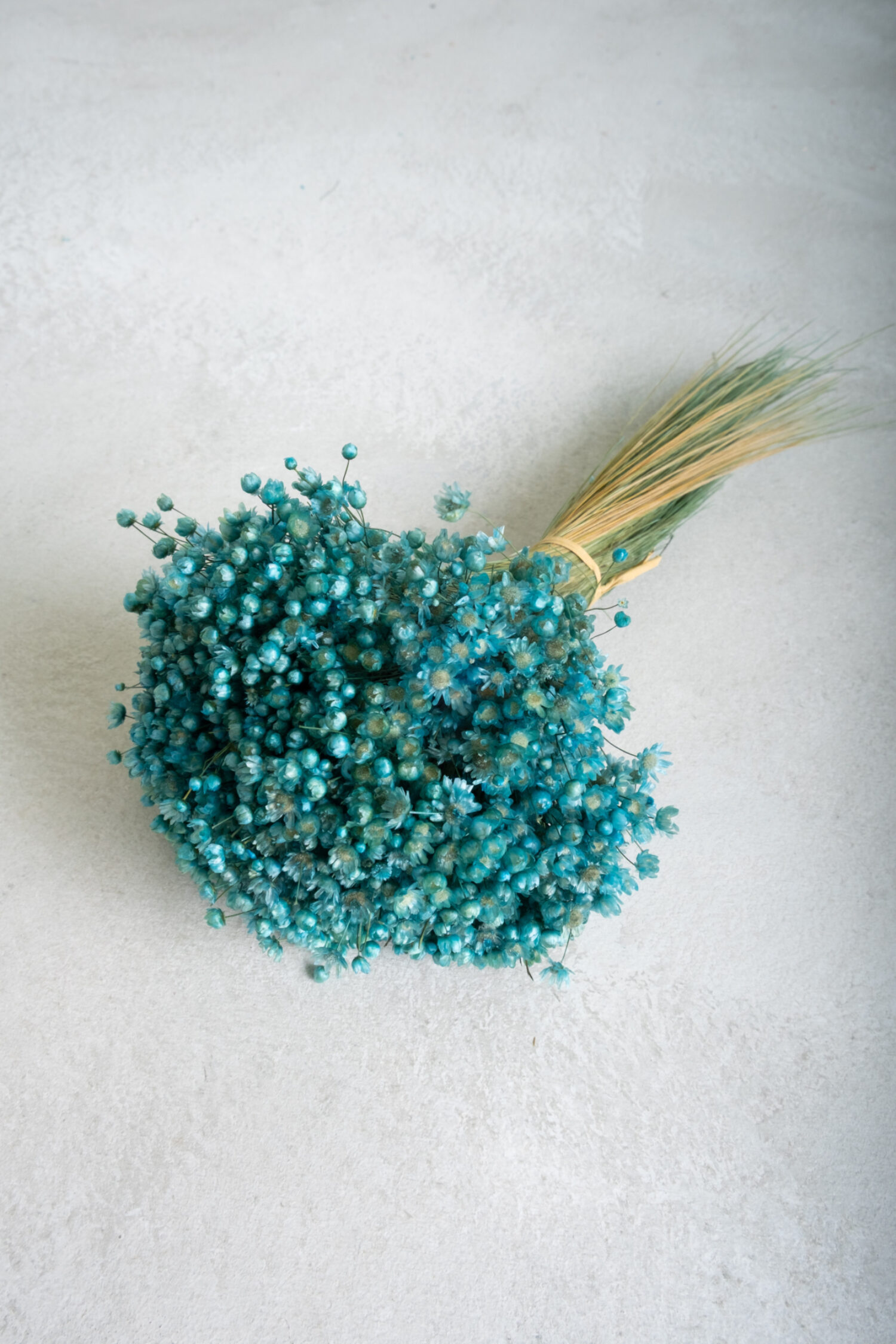 Glixia Marcela bunch