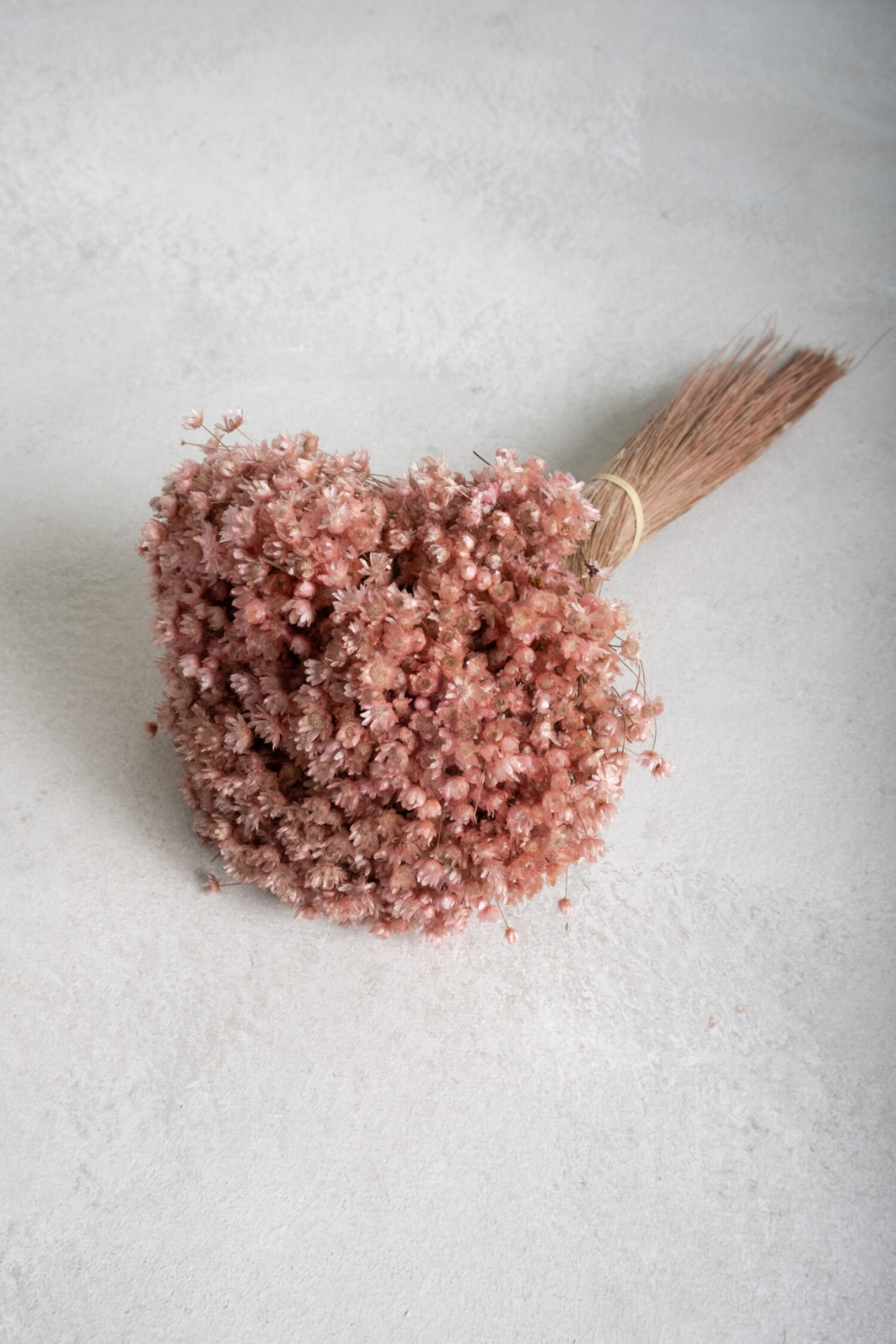 Glixia Marcela bunch