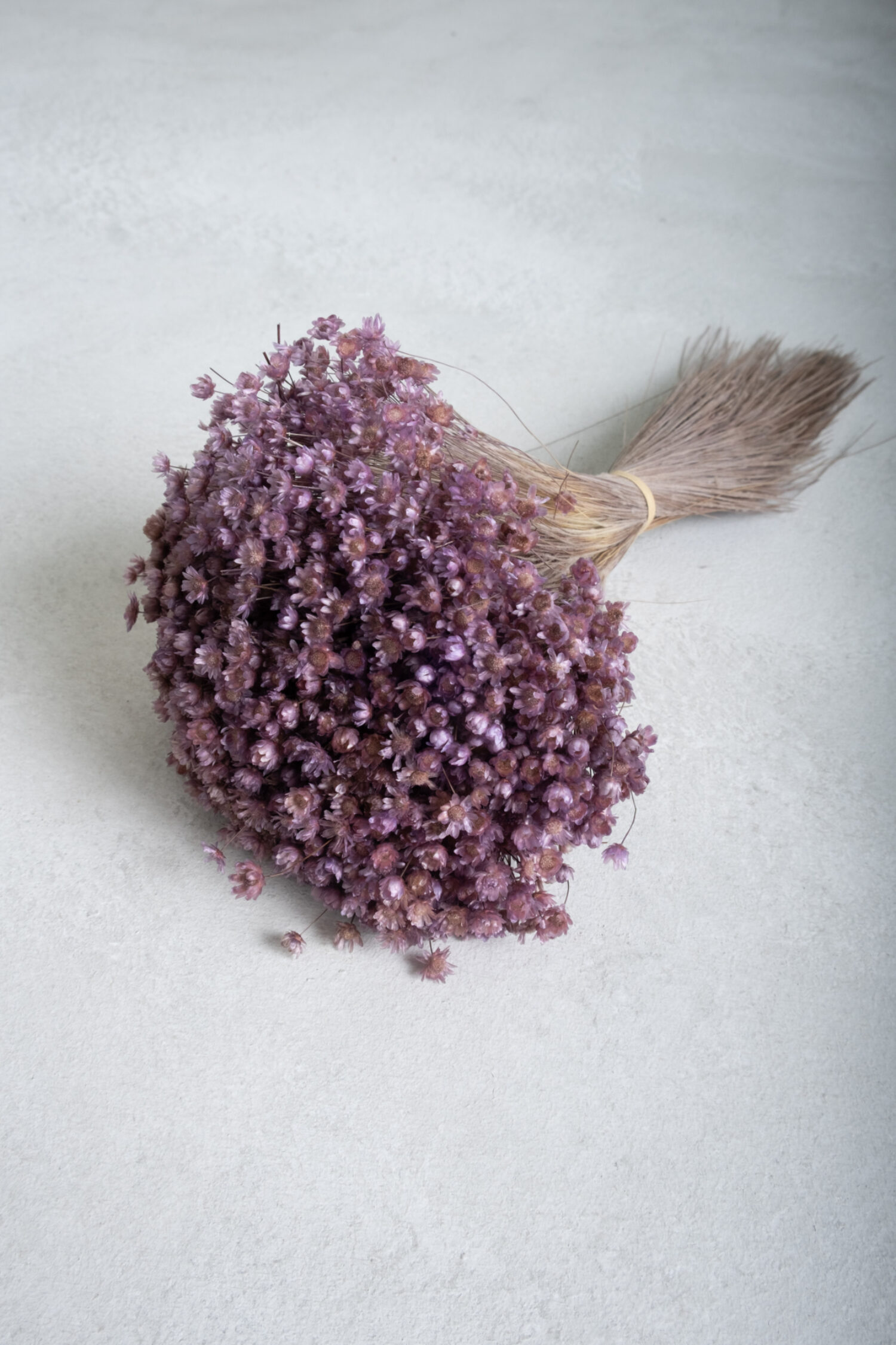 Glixia Marcela bunch