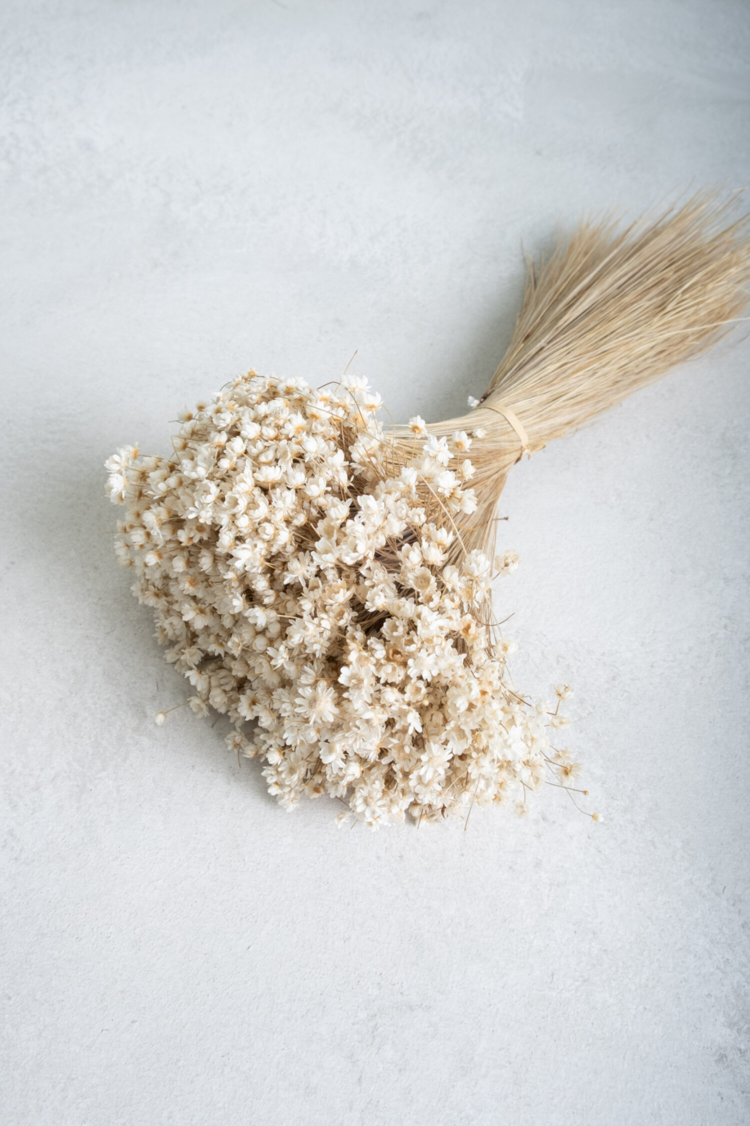 Glixia Marcela bunch