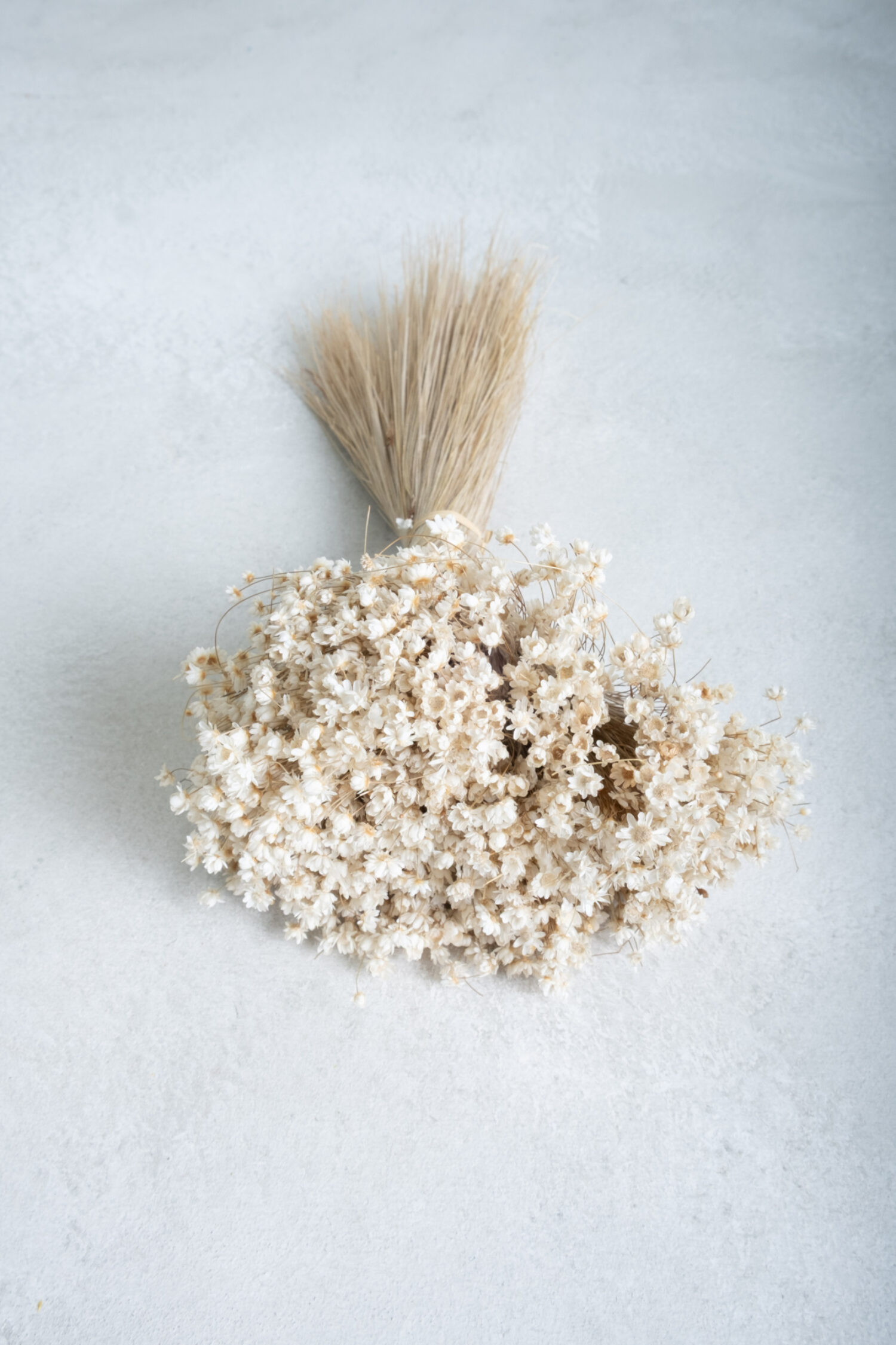 Glixia Marcela bunch