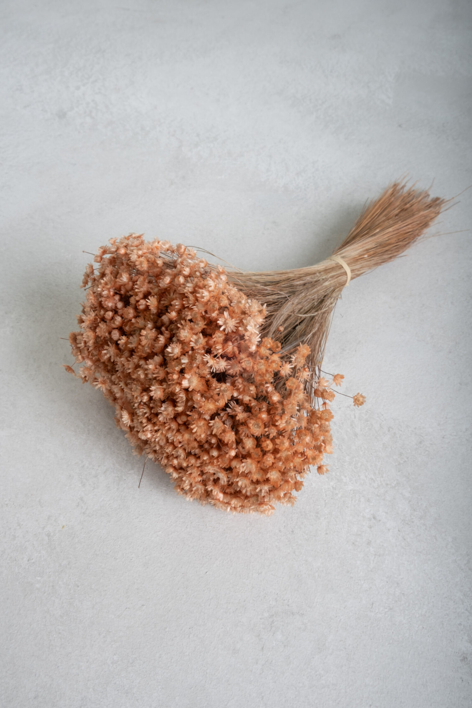 Glixia Marcela bunch