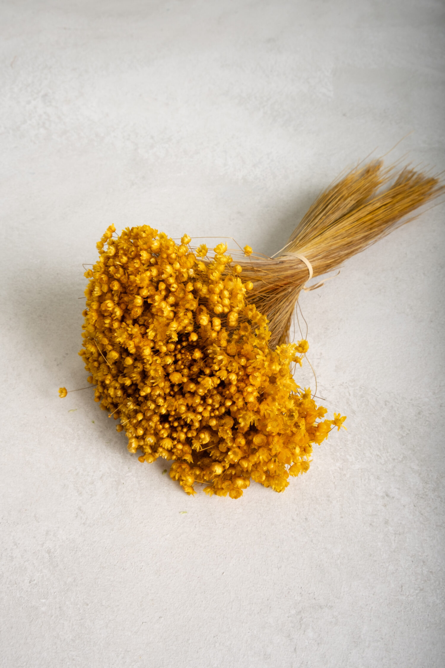 Glixia Marcela bunch