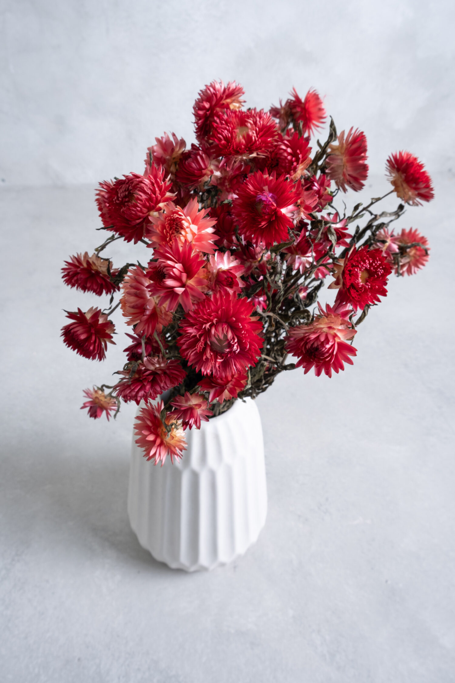 Helichrysum bunch natural