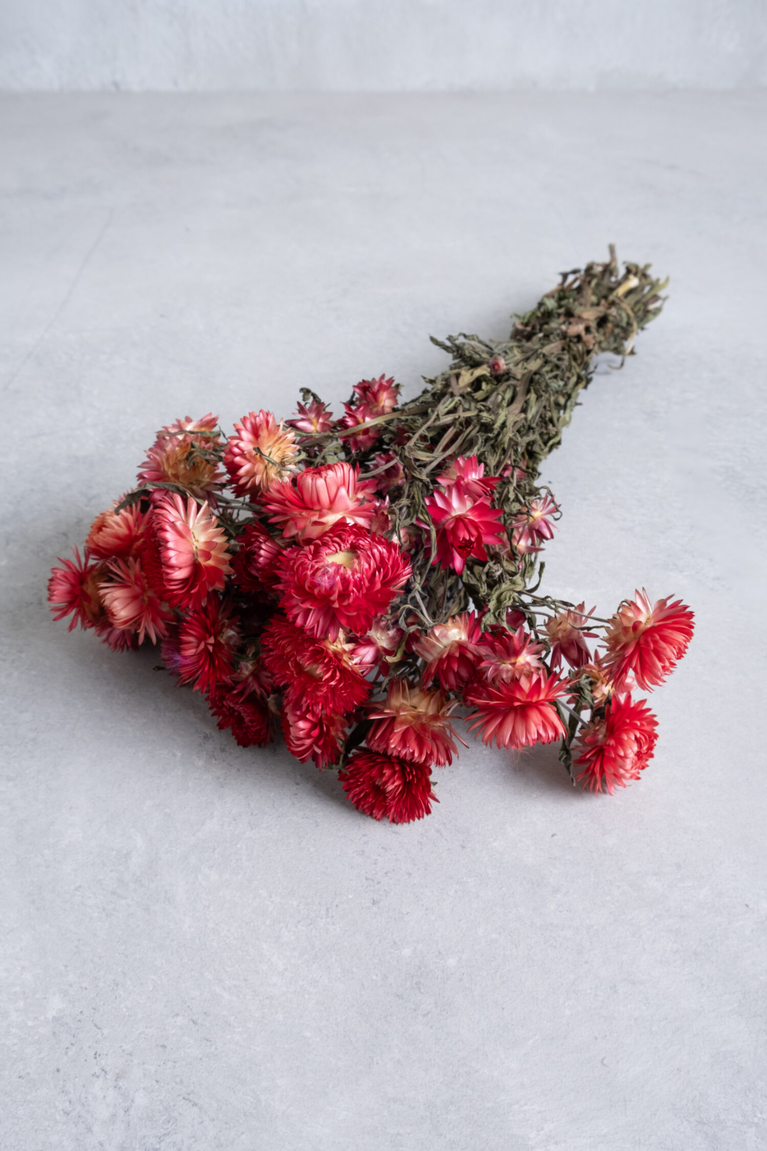 Helichrysum bunch natural