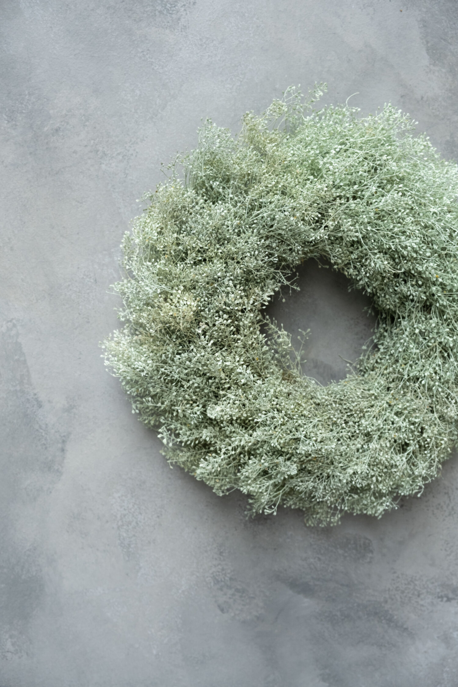 Lepidium wreath