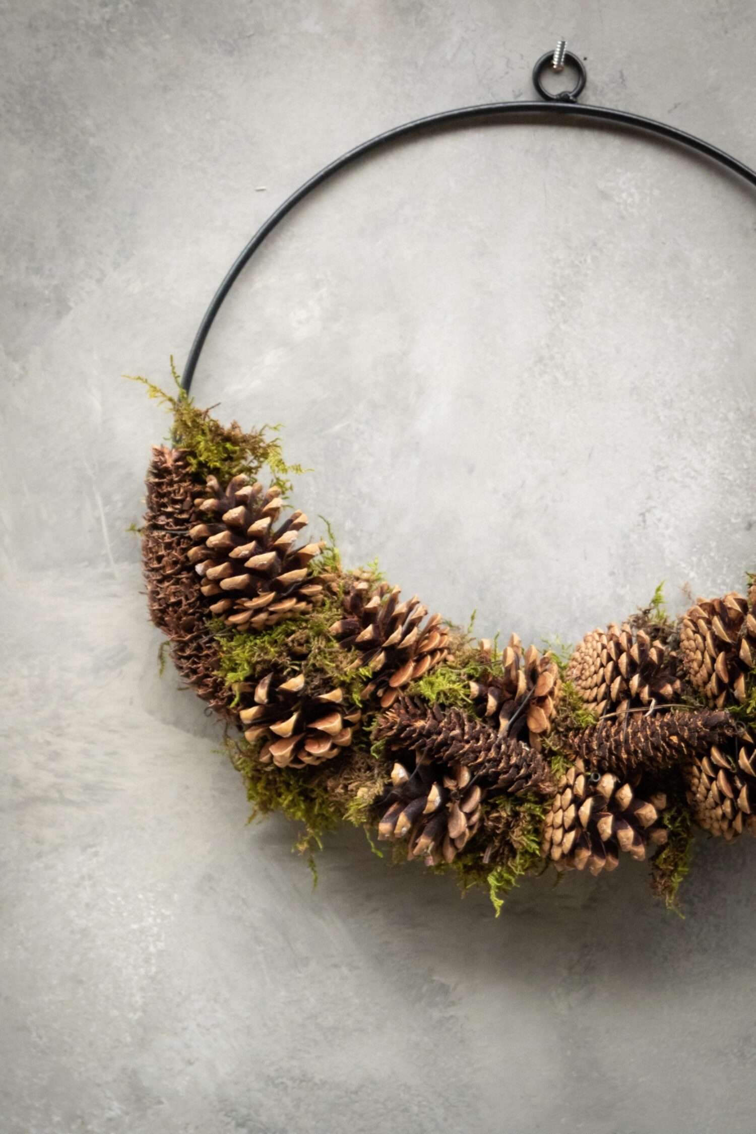 Moss wreath pine cone/rasped half