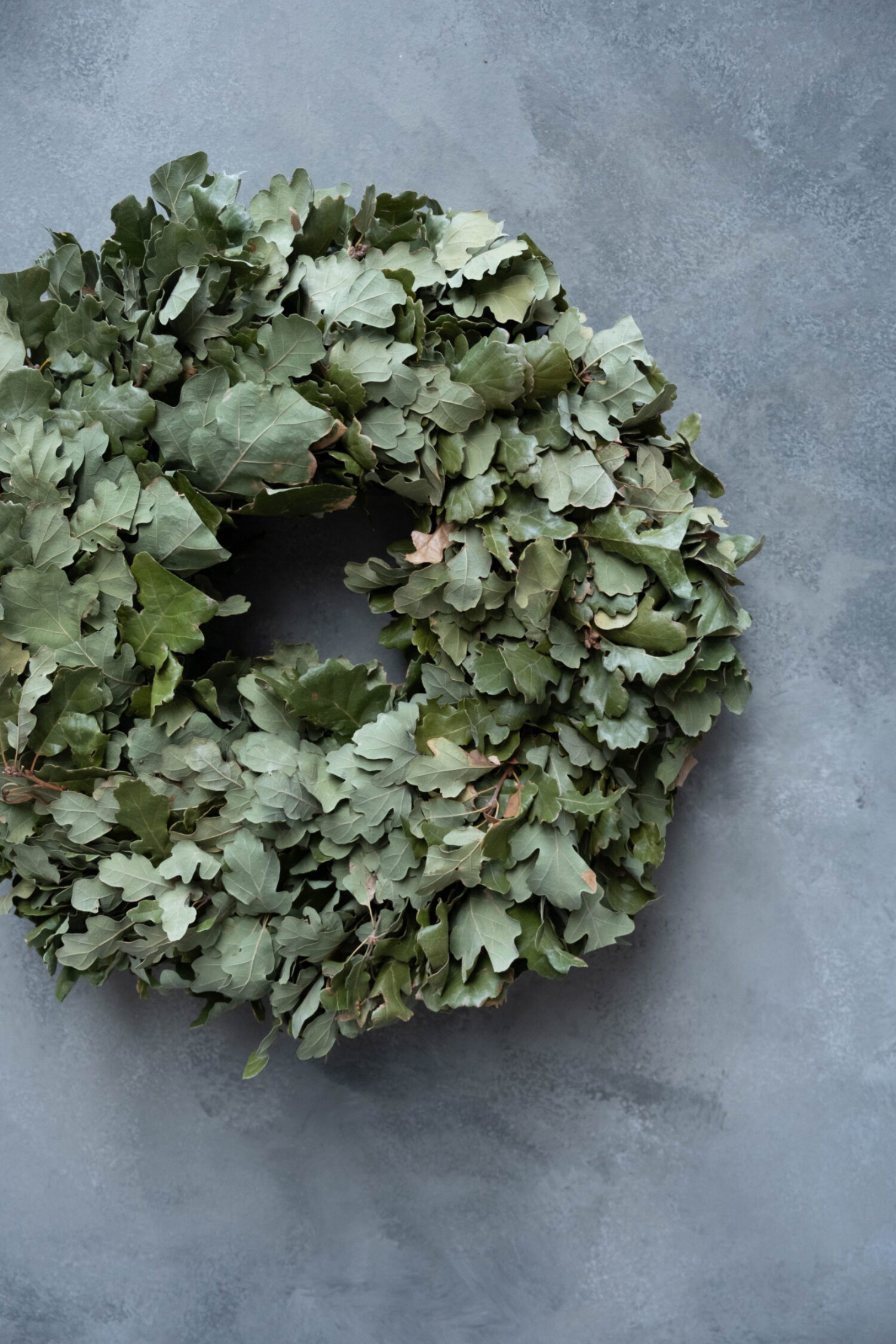 Oakleaf wreath thick