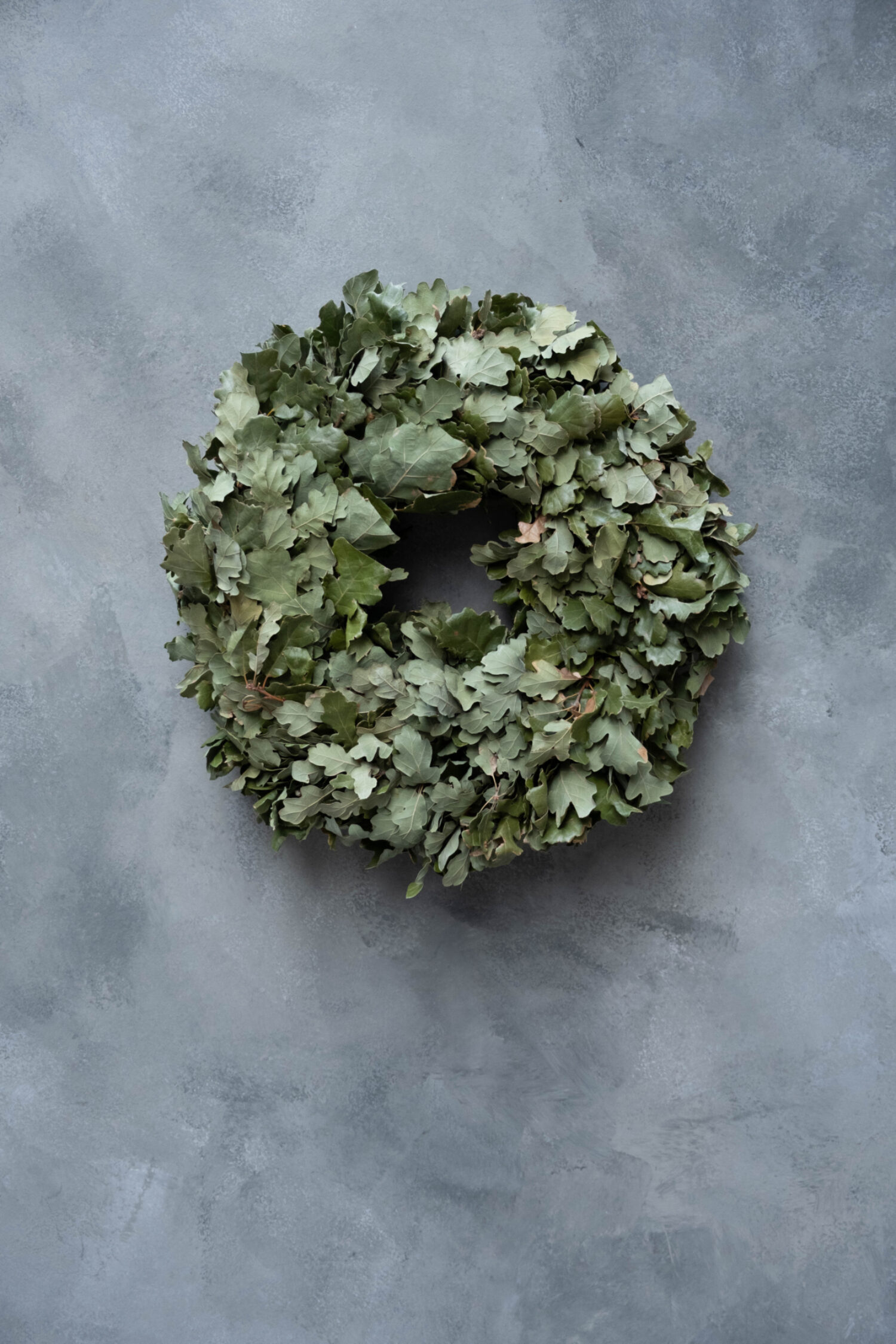 Oakleaf wreath thick