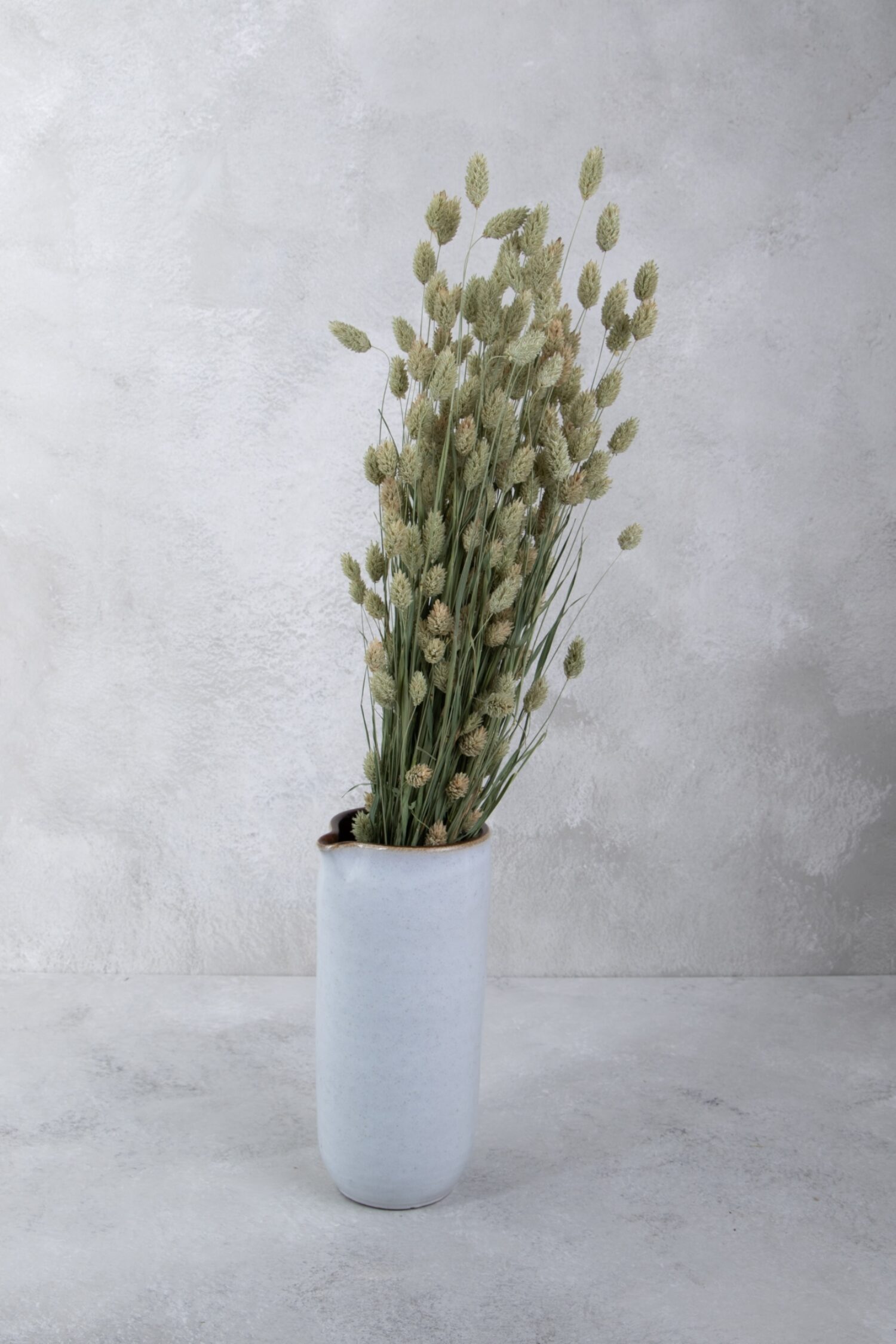 Phalaris bunch