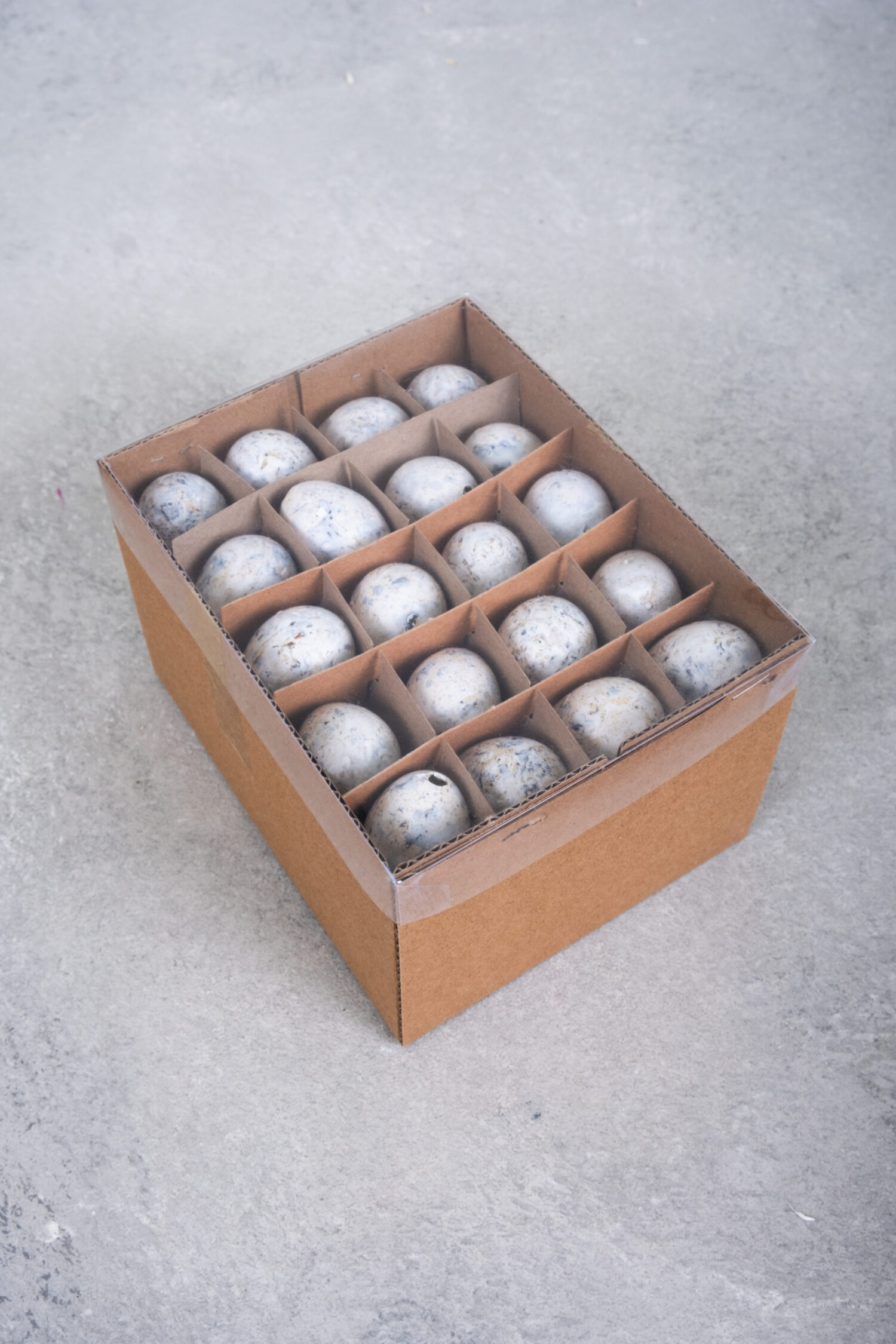 Quail eggs stone washed