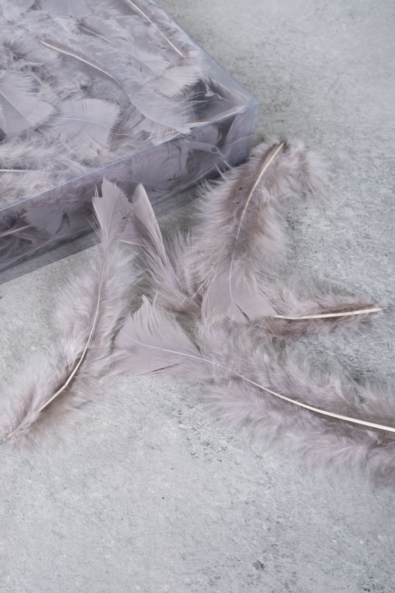 Turkey feathers taupe