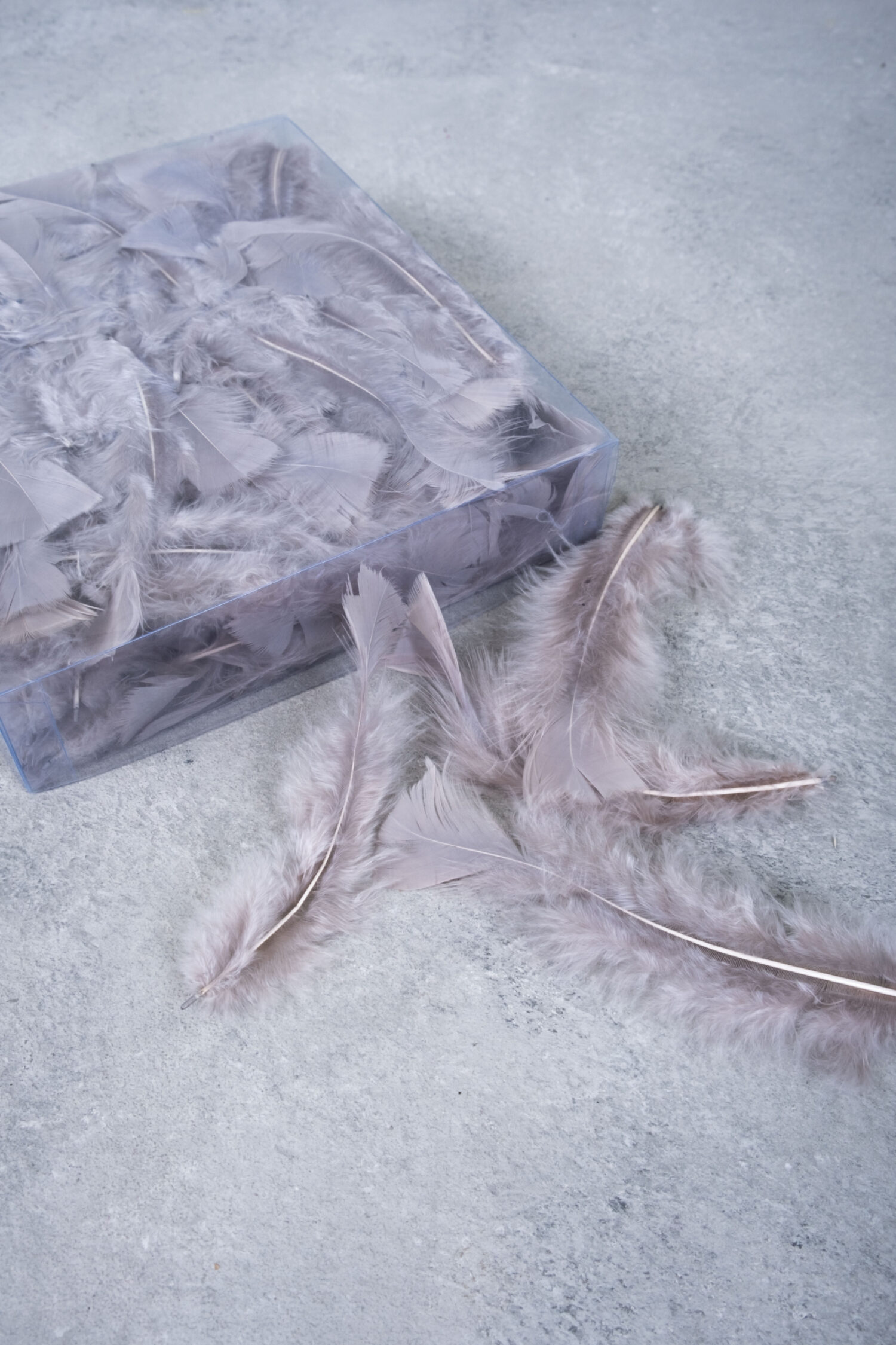 Turkey feathers taupe