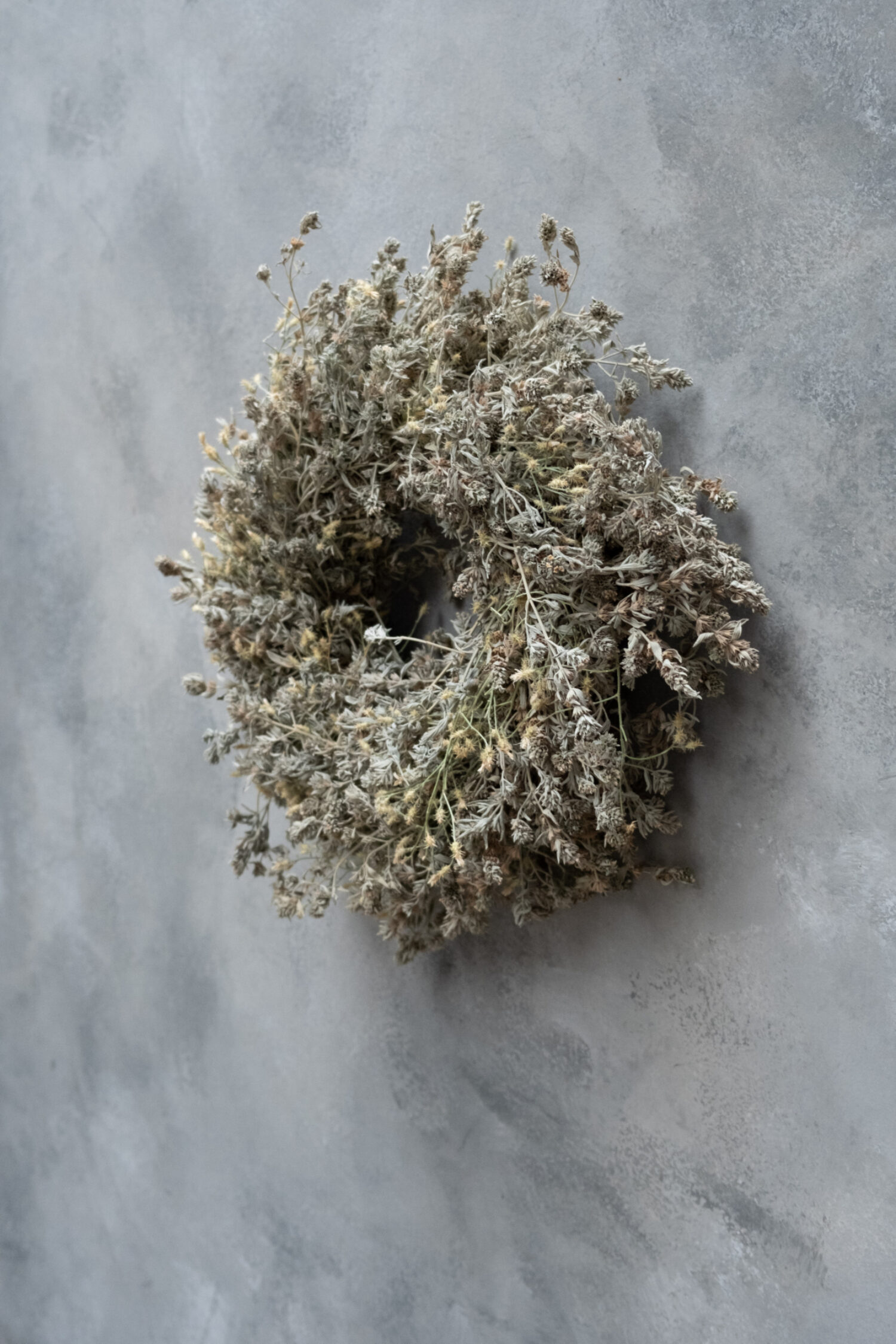 Wild lavender thistle wreath