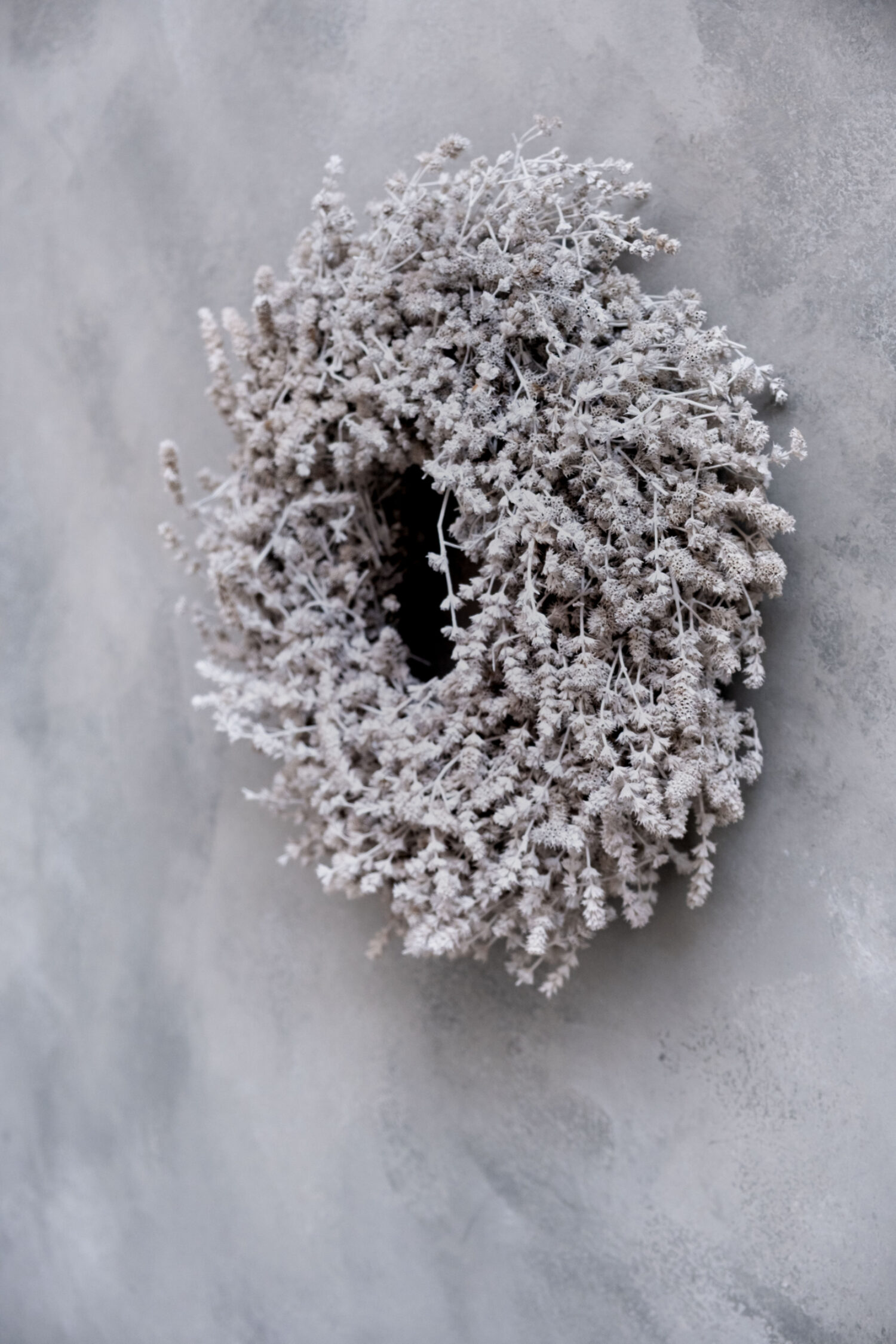 Wild lavender wreath